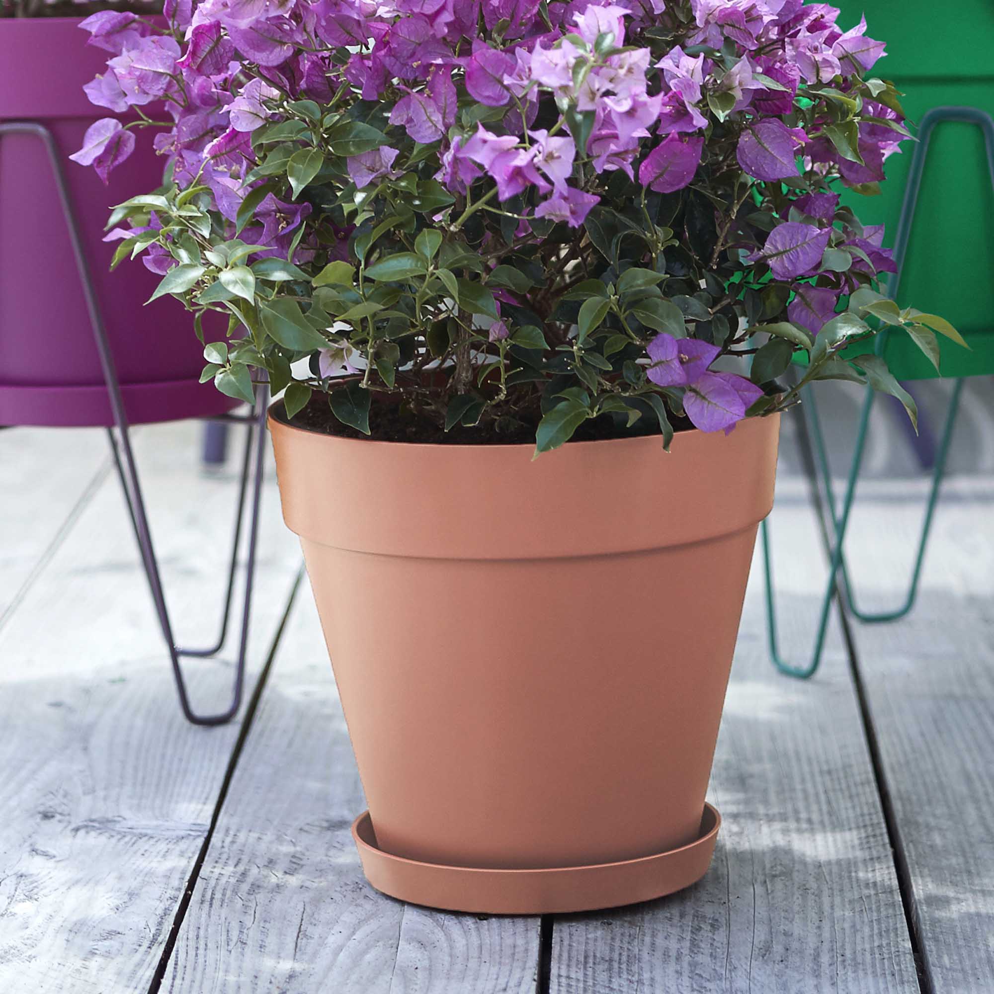 513a6be5e037436d17af5bacaf026489