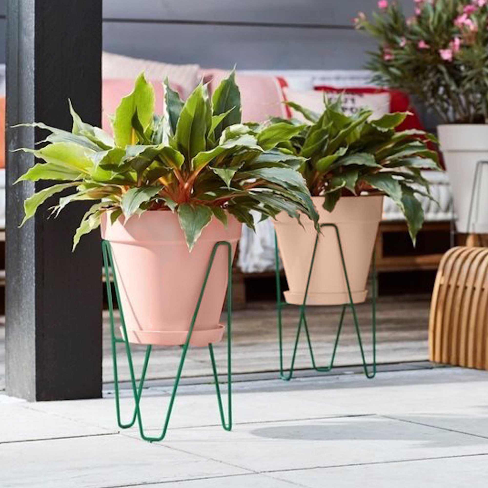 96d5cb872f03291a60b32faec45dd5af