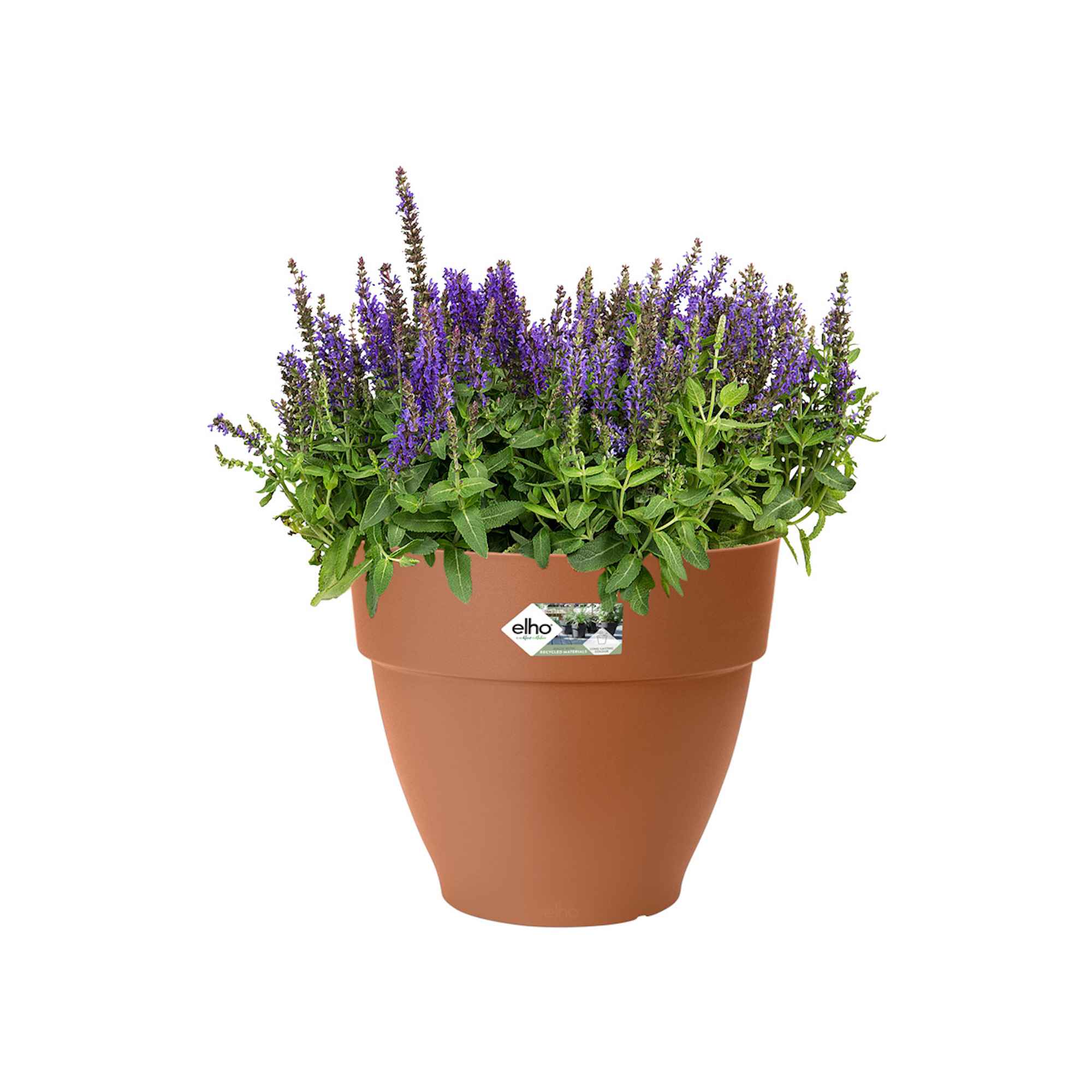 48c33dfe5955fdad4a441d2dc219583f