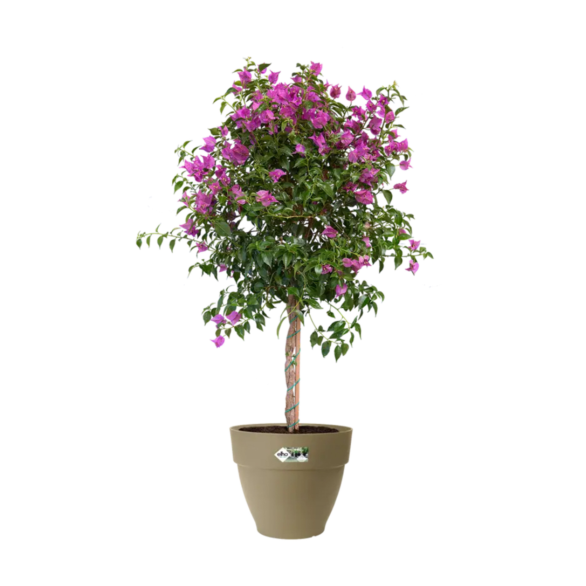 a4da1d1b2f1e19151bf5fd40617f6bad