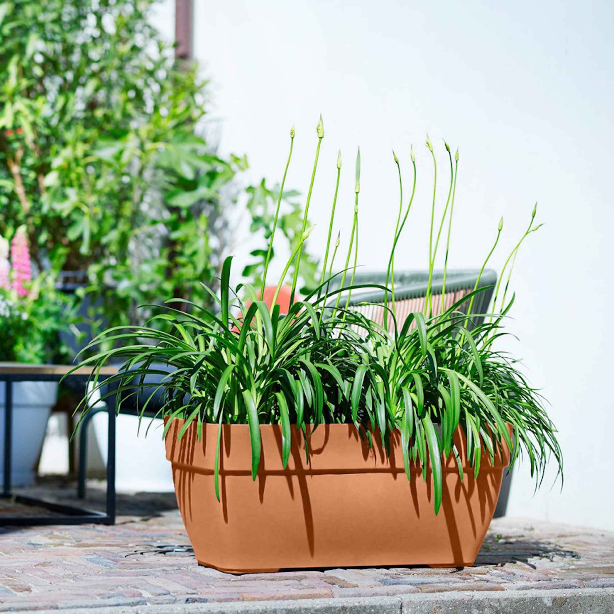 2839c9b7278c52729dc355954a822238