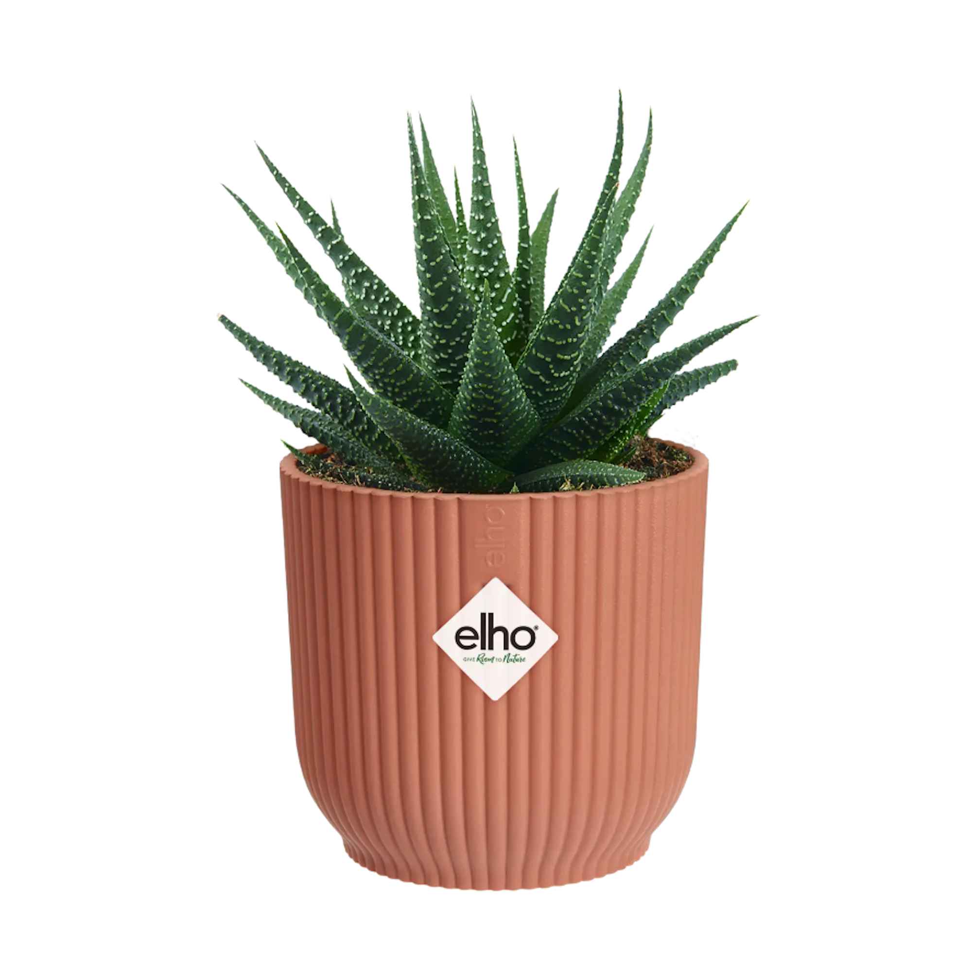 be6c7d816f13a1963d75a302dd44d181