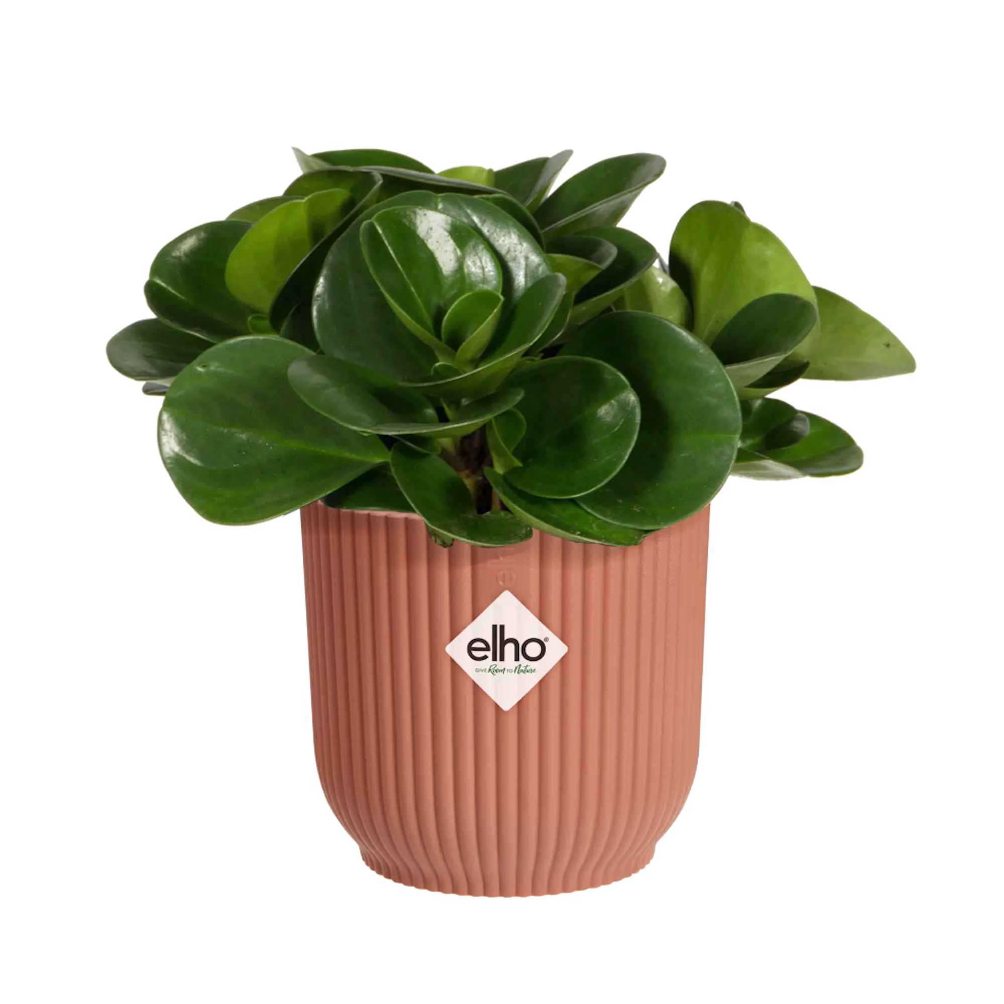 c58d84d60d0ad0d2e90bdb9b32e8696b