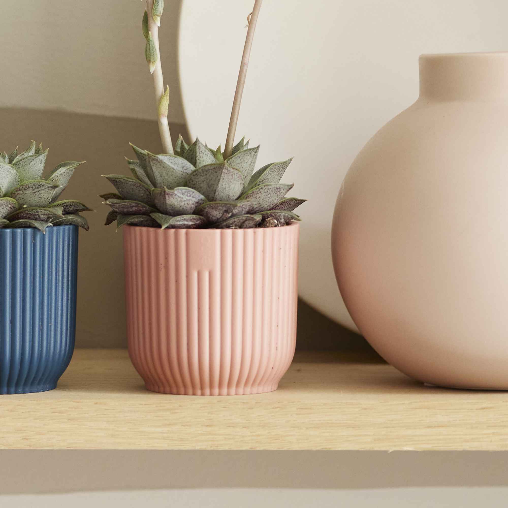 0b068236cb535a2d4e090ad1b74191c2