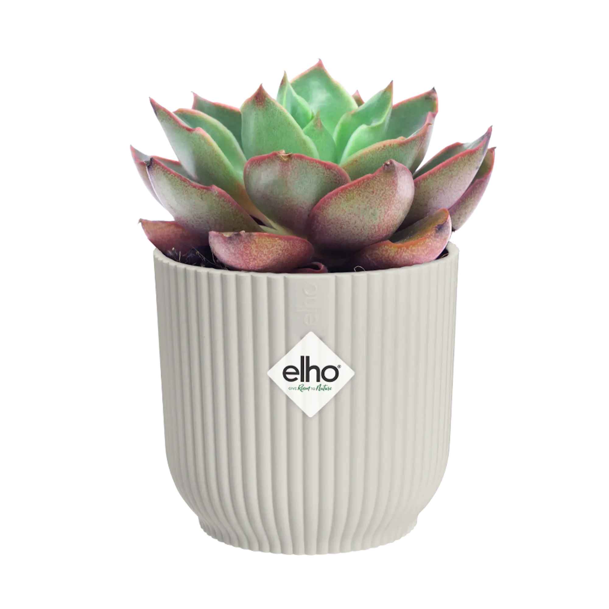 bb2a4c442b52c99cf86524270ffb78cc