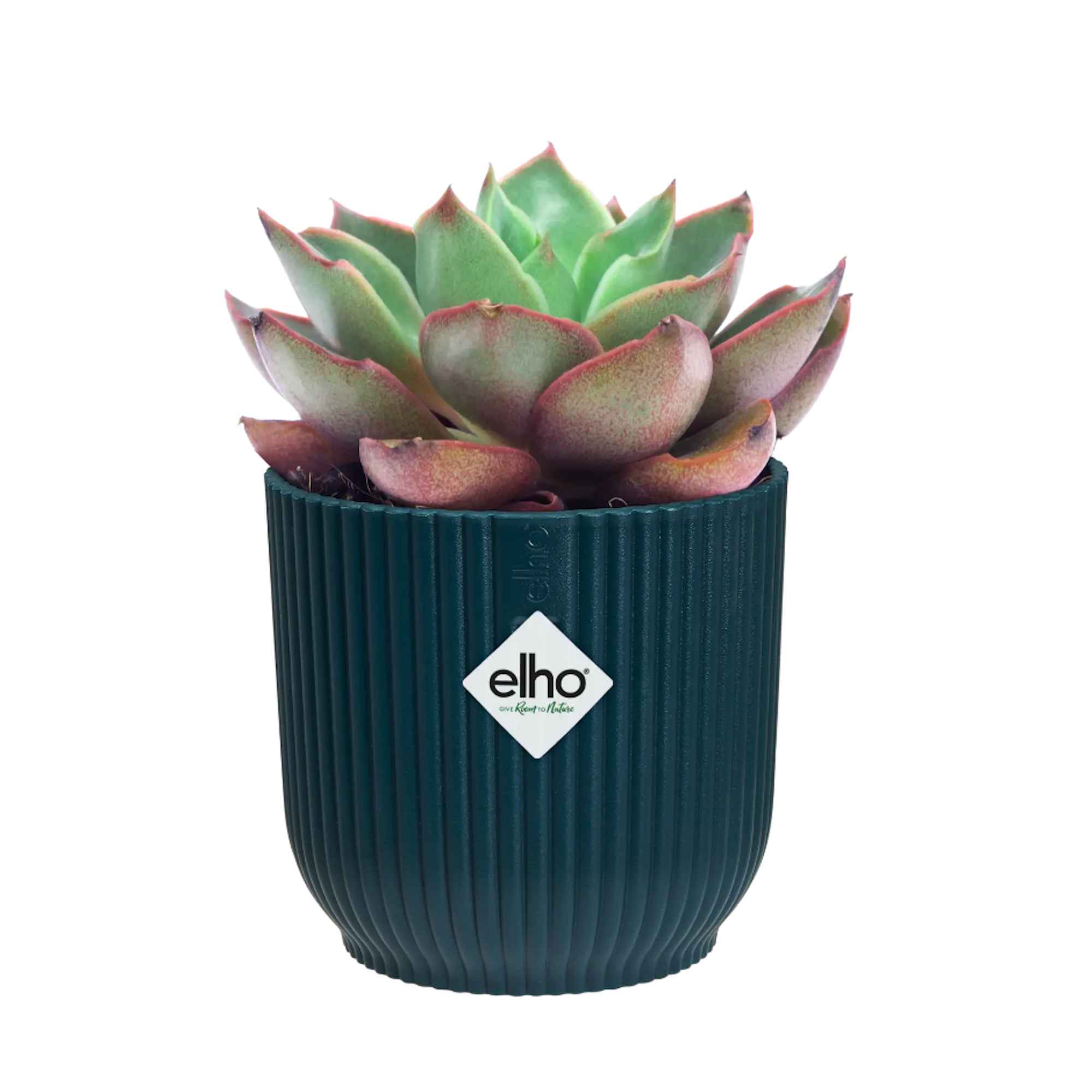 f5d9b15d4bfd51bc56d5a0a4e427bf5c