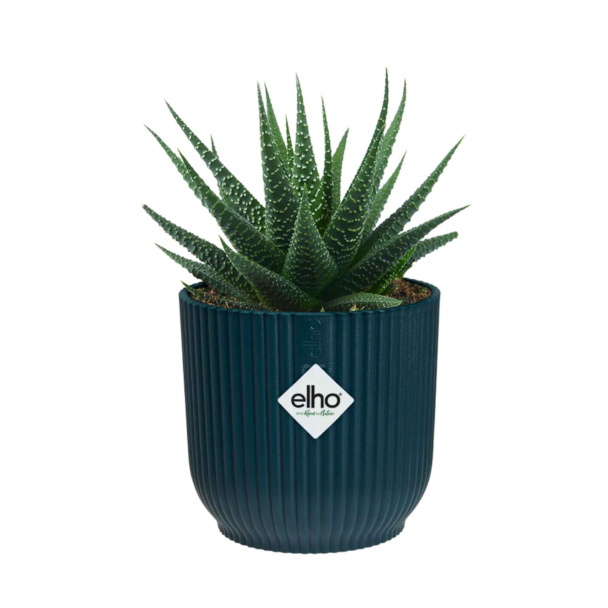 ff57c623756ce6eba4b726bbd2acc217