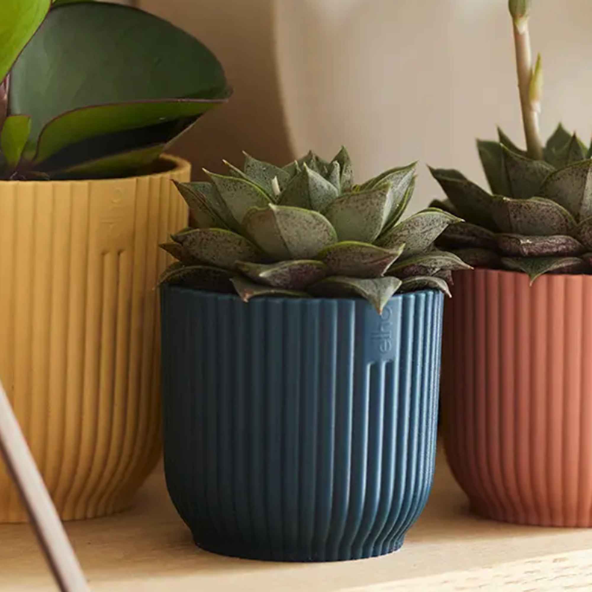 0fceecab6121dadd7d1390994161e97b