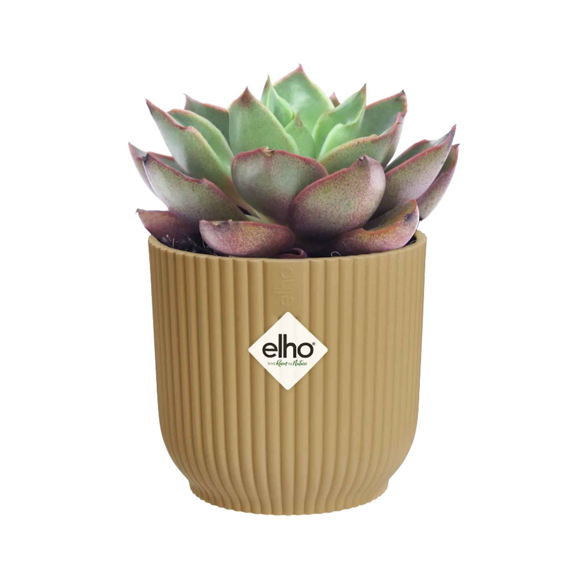 0632918bf5d2a1e410eb9079762f2df9