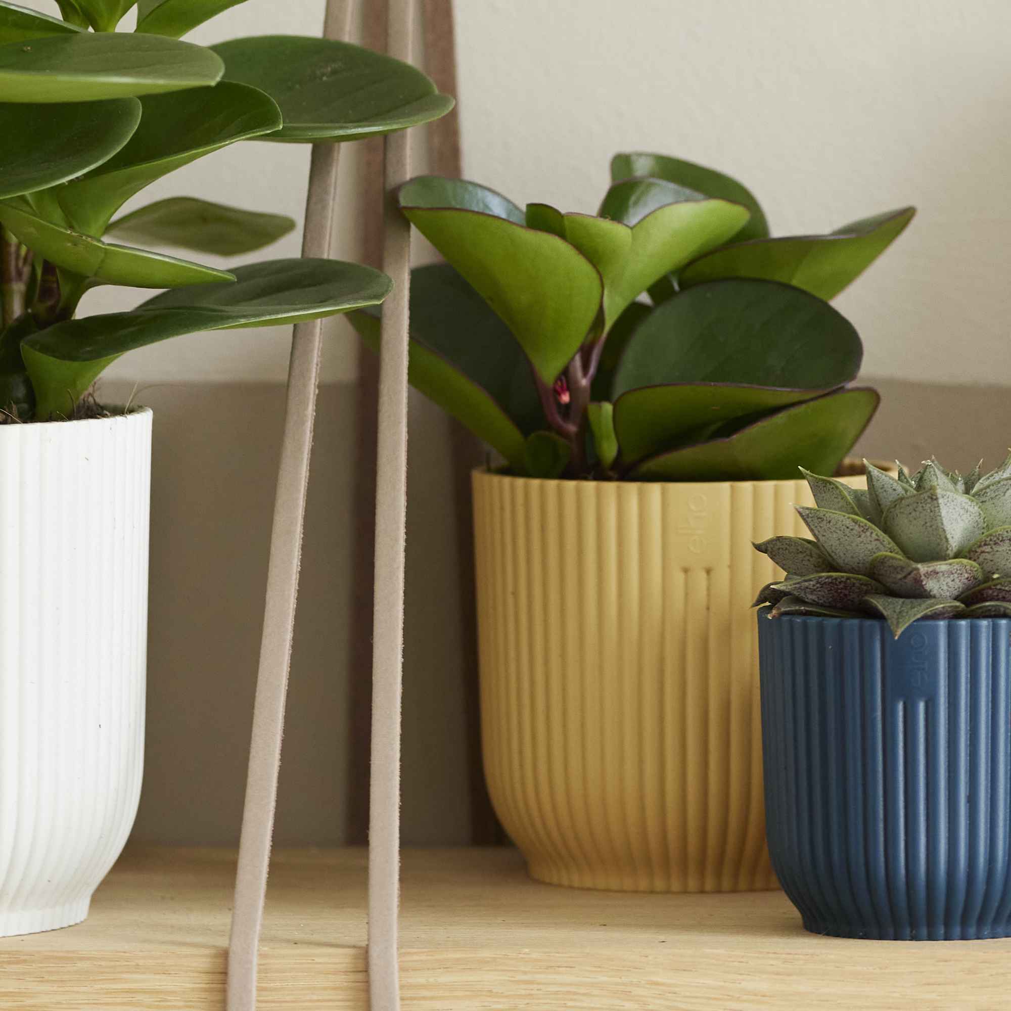 4abf5d0f0e8ff5d60a937a59401a6eb8