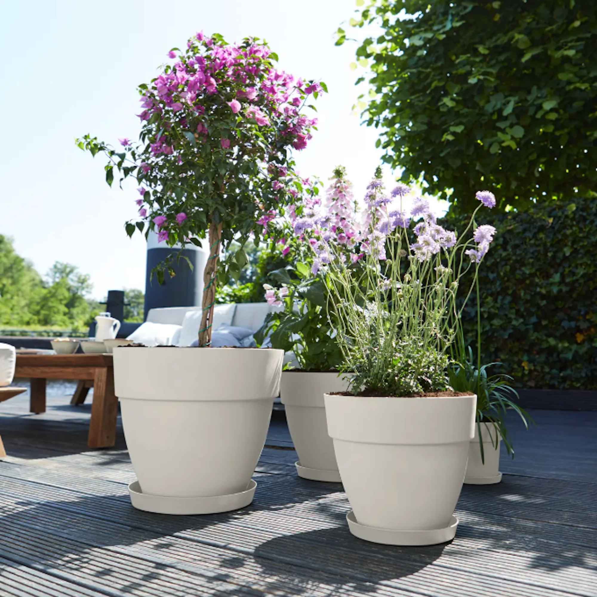 0c39e6c9b8d256c74a394a366d03980c