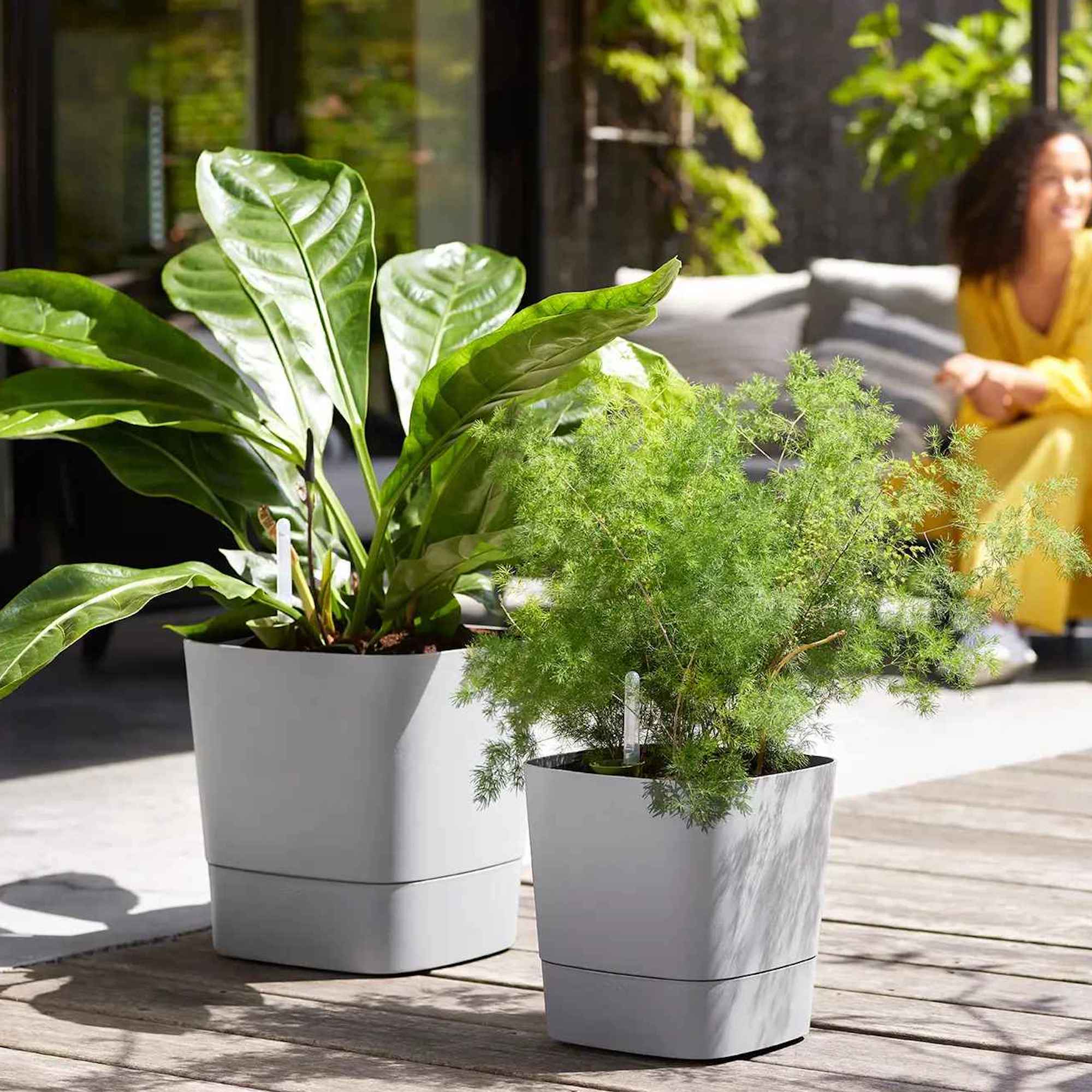 ccd7bb6e5f607788644b7ac288d4a553