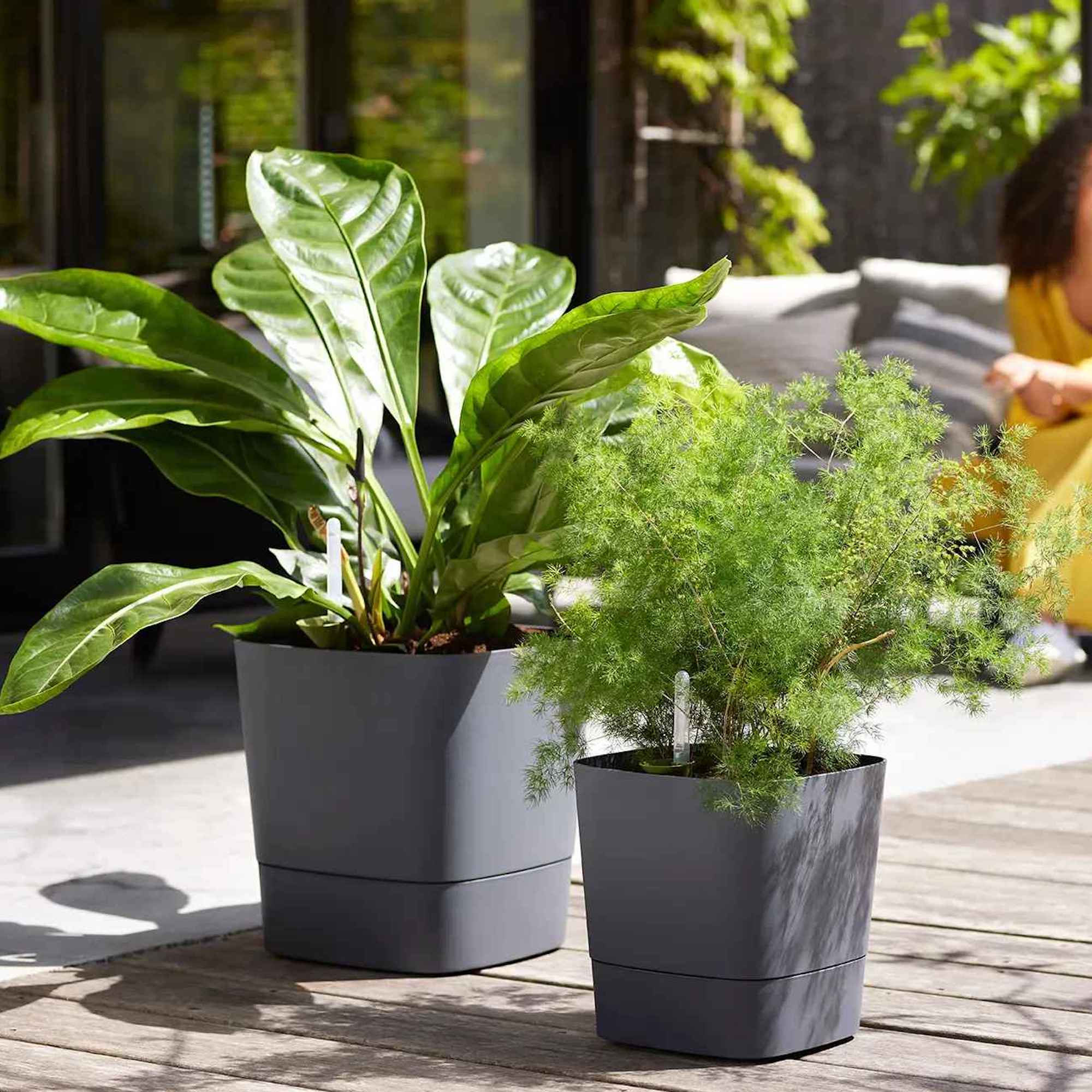 3873475e1ed0303a9984902e0d4214a7