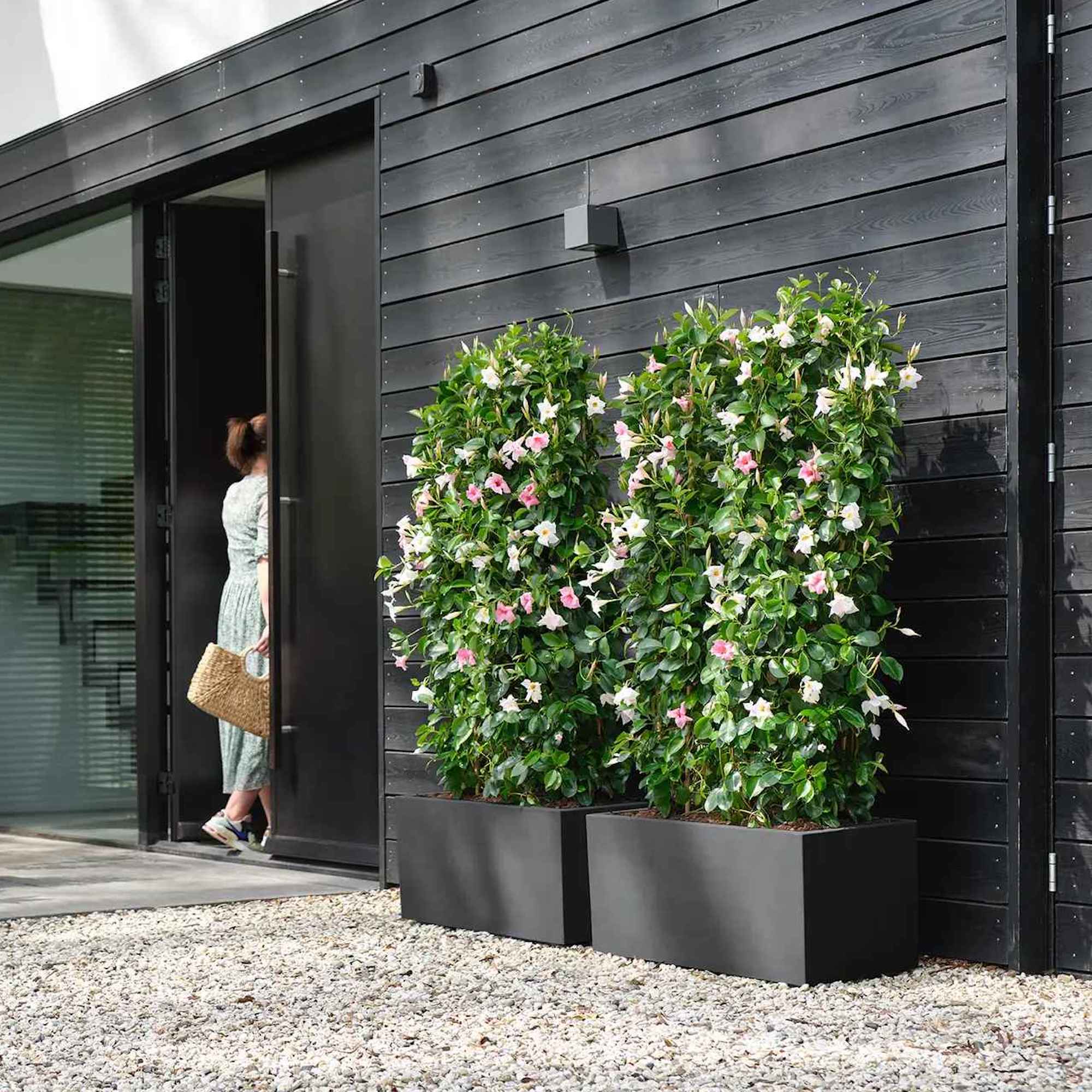 db6fdb558b4145b2650cf2e3be96935e