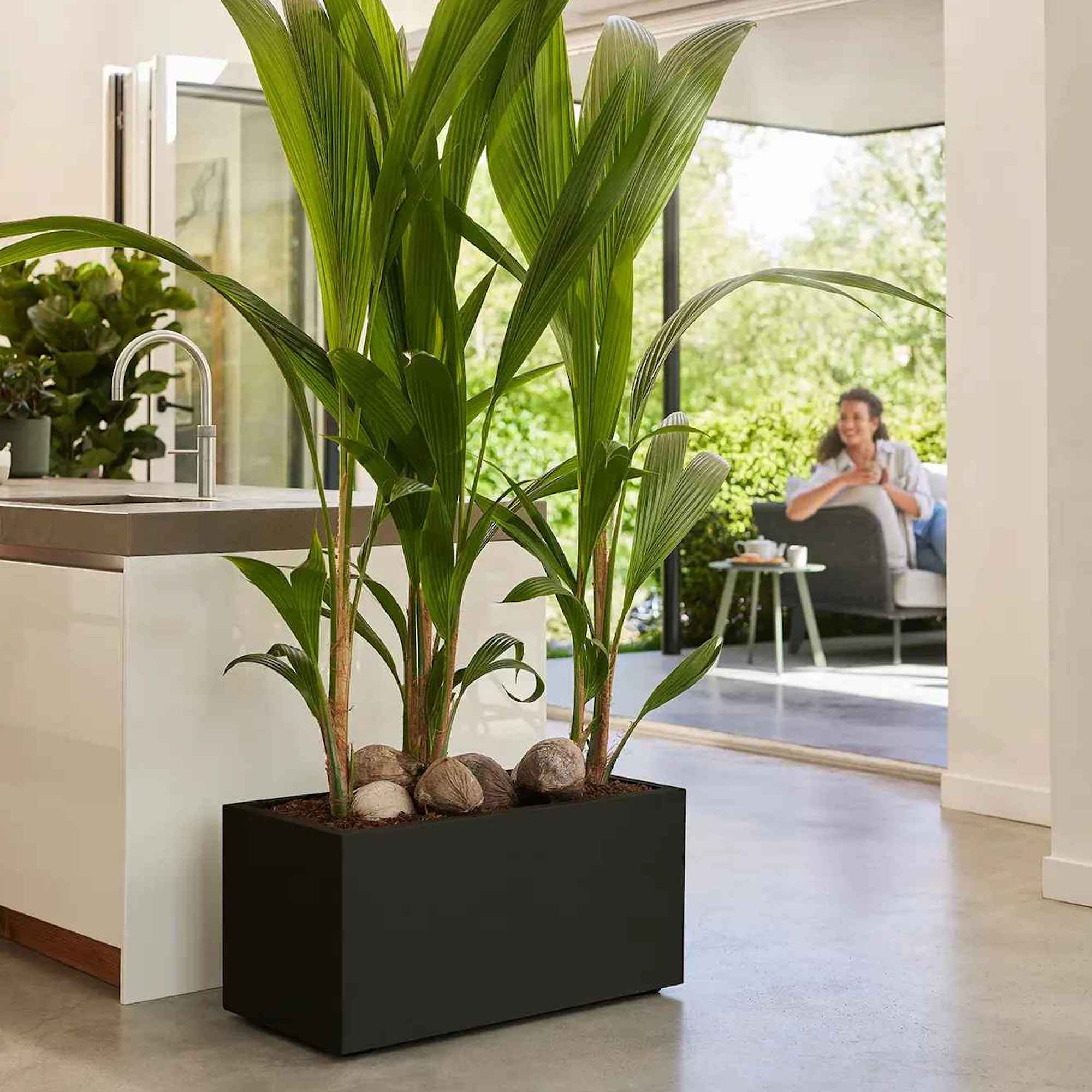 a17db82273d6f3377a55697966082080