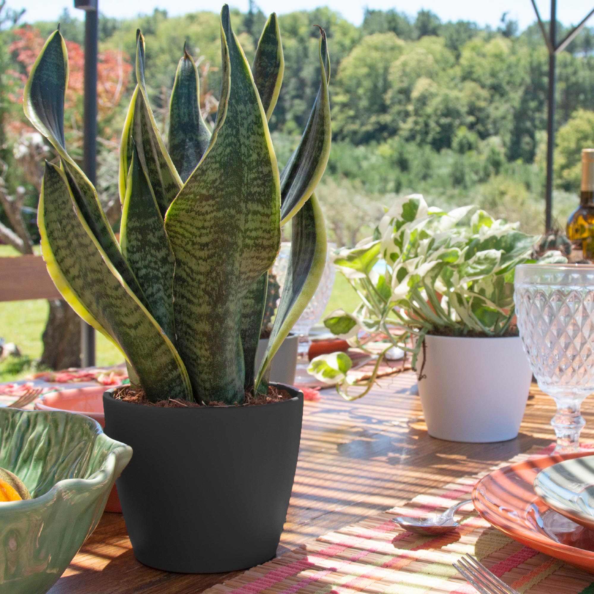 5addd1053c024d27dd645149128ad14e