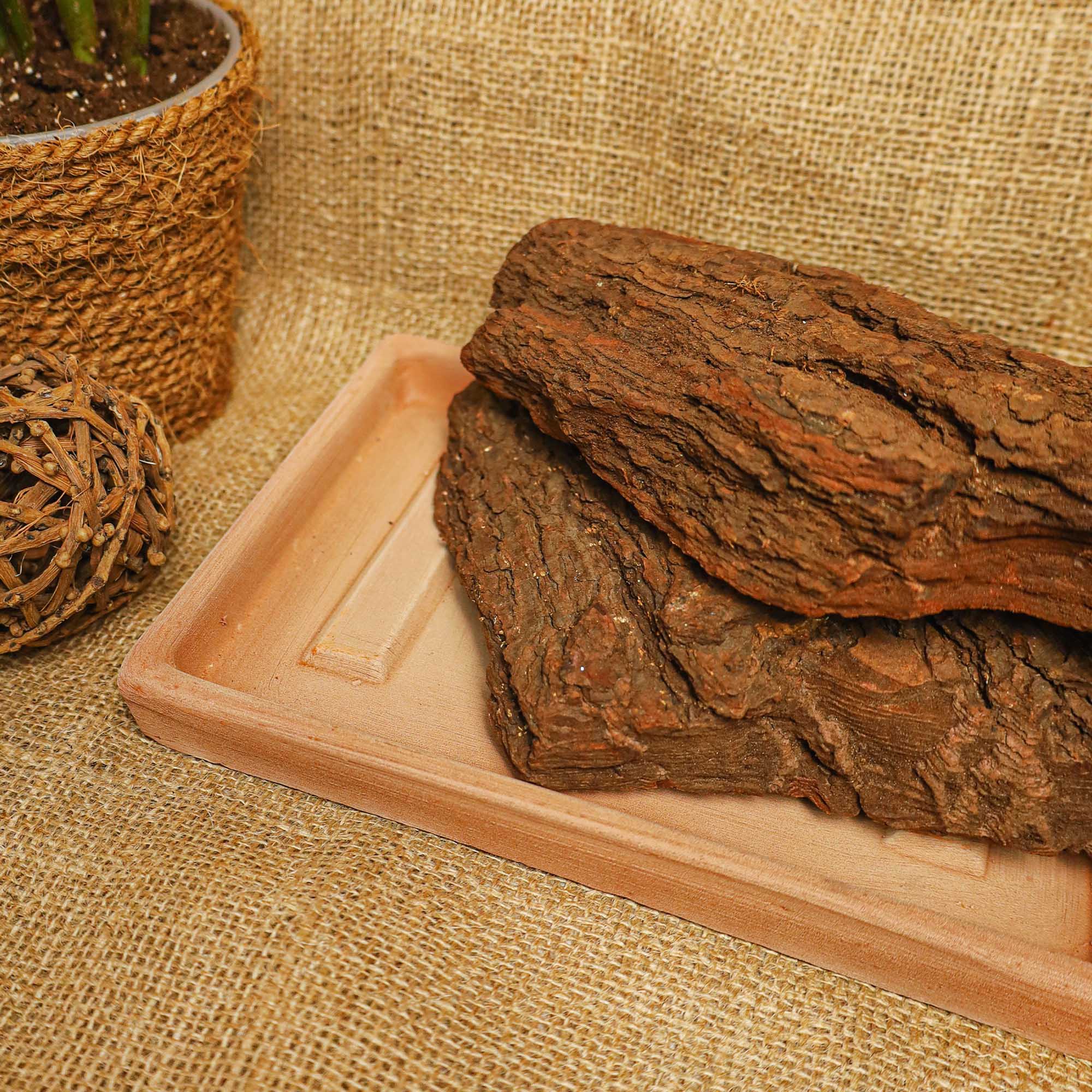 8723218182156b5c3c2519b4762d9f89