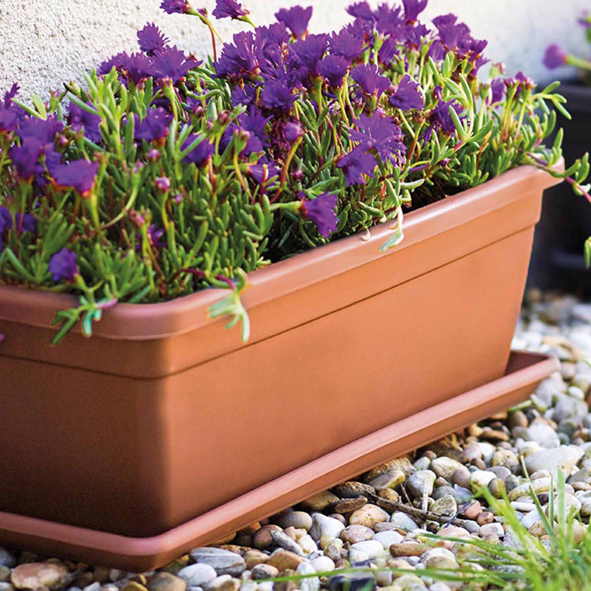 94314eb1e4a702e85b3f638d60e372a1