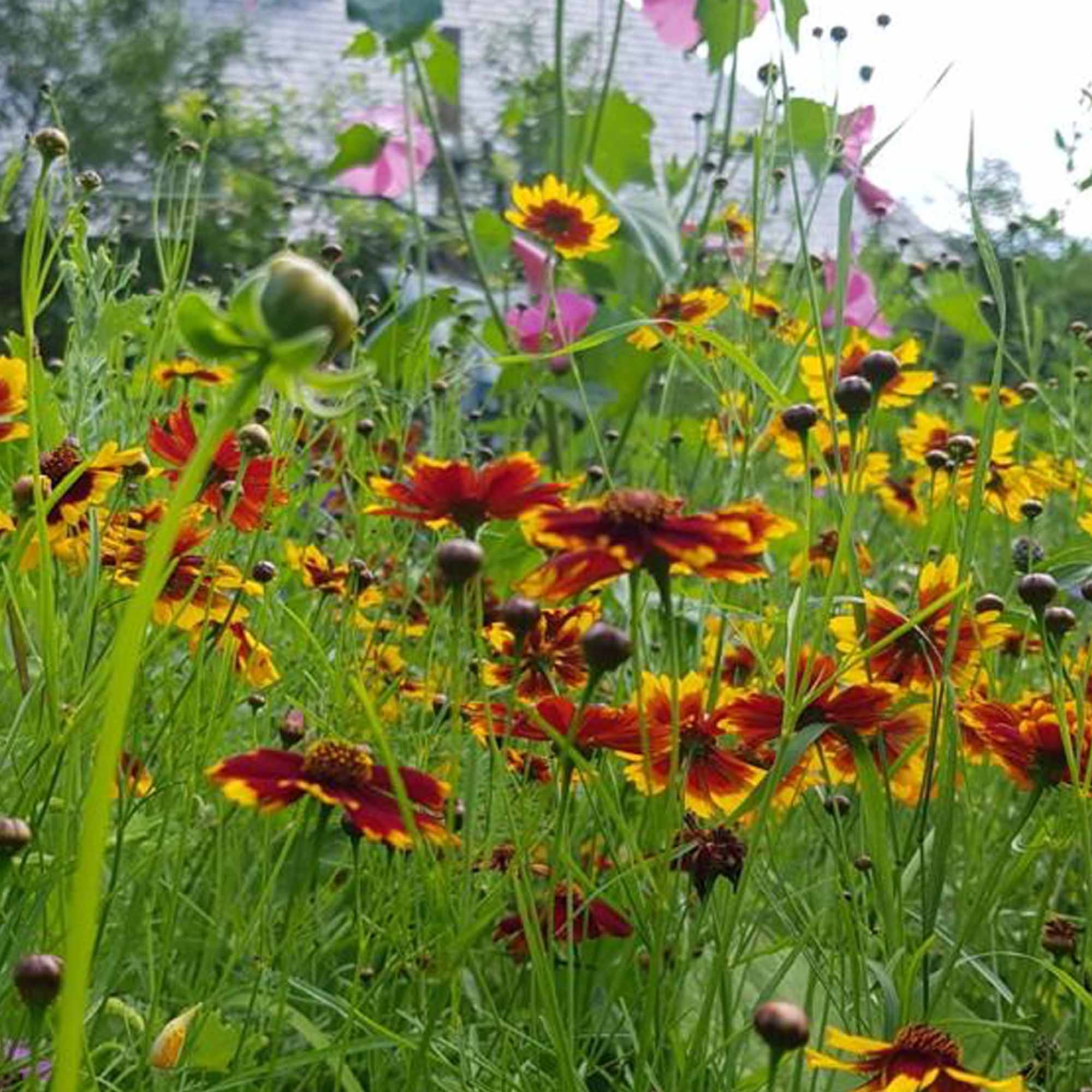 d196f285e1527e3cb9db805e090dcc45