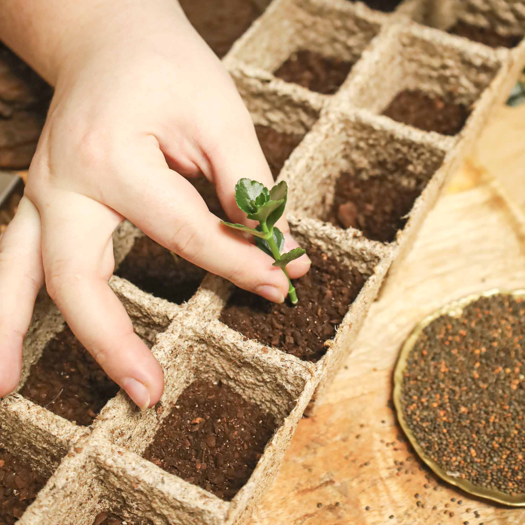 6b9fcaf8d55ec8c75a84d8c1eb91dea4