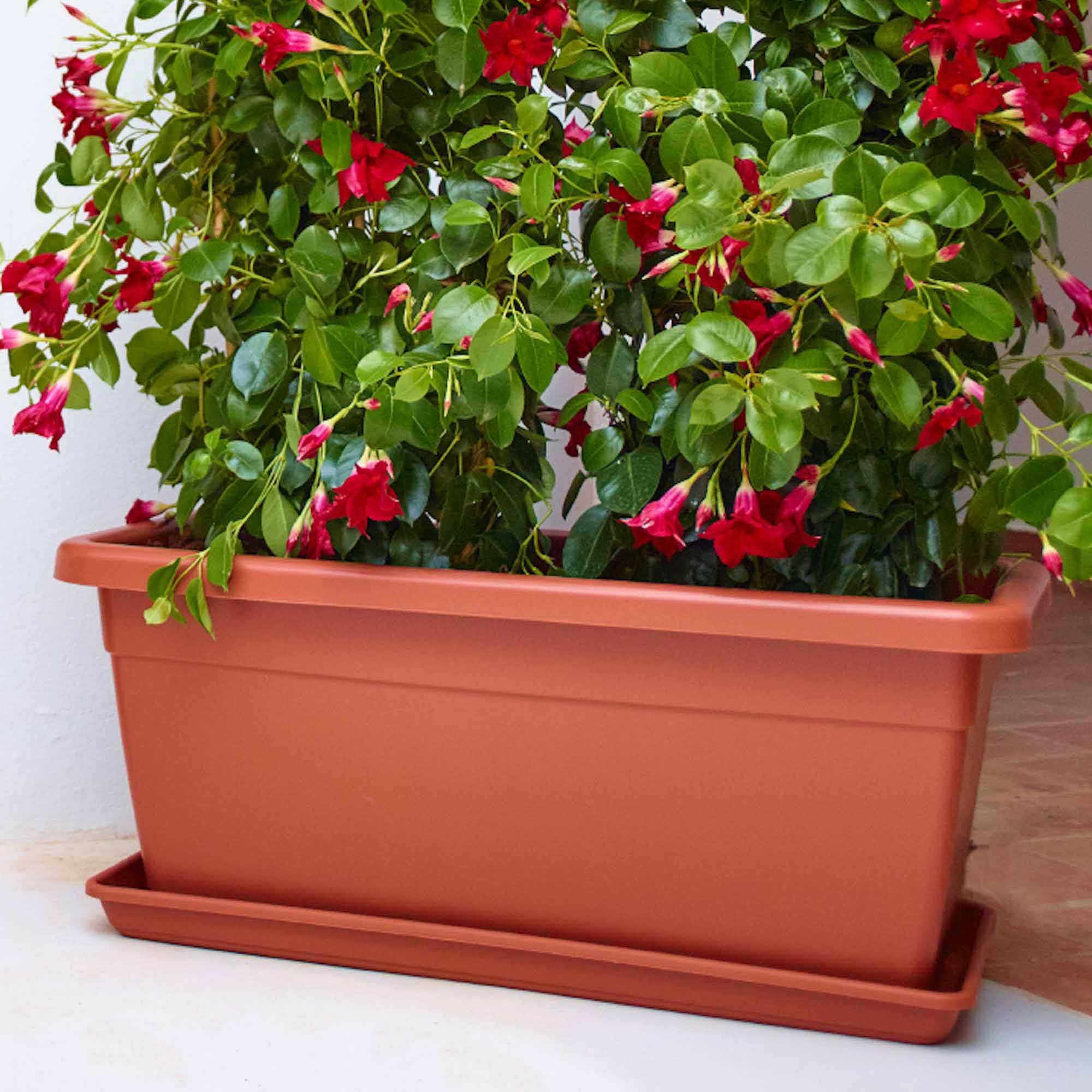 73bb4b16ab1a24b89b2660dfc65cb79a