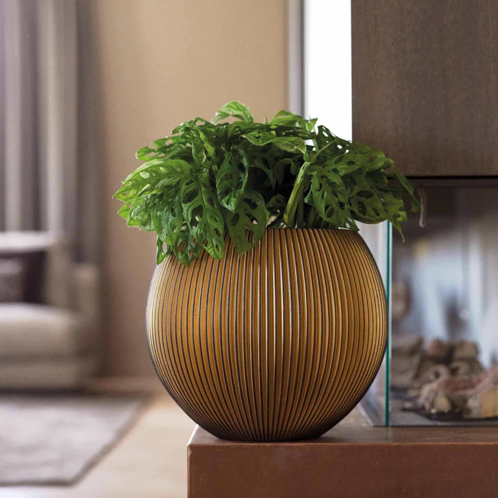 b391808992d76bb708b16b86a12471e7