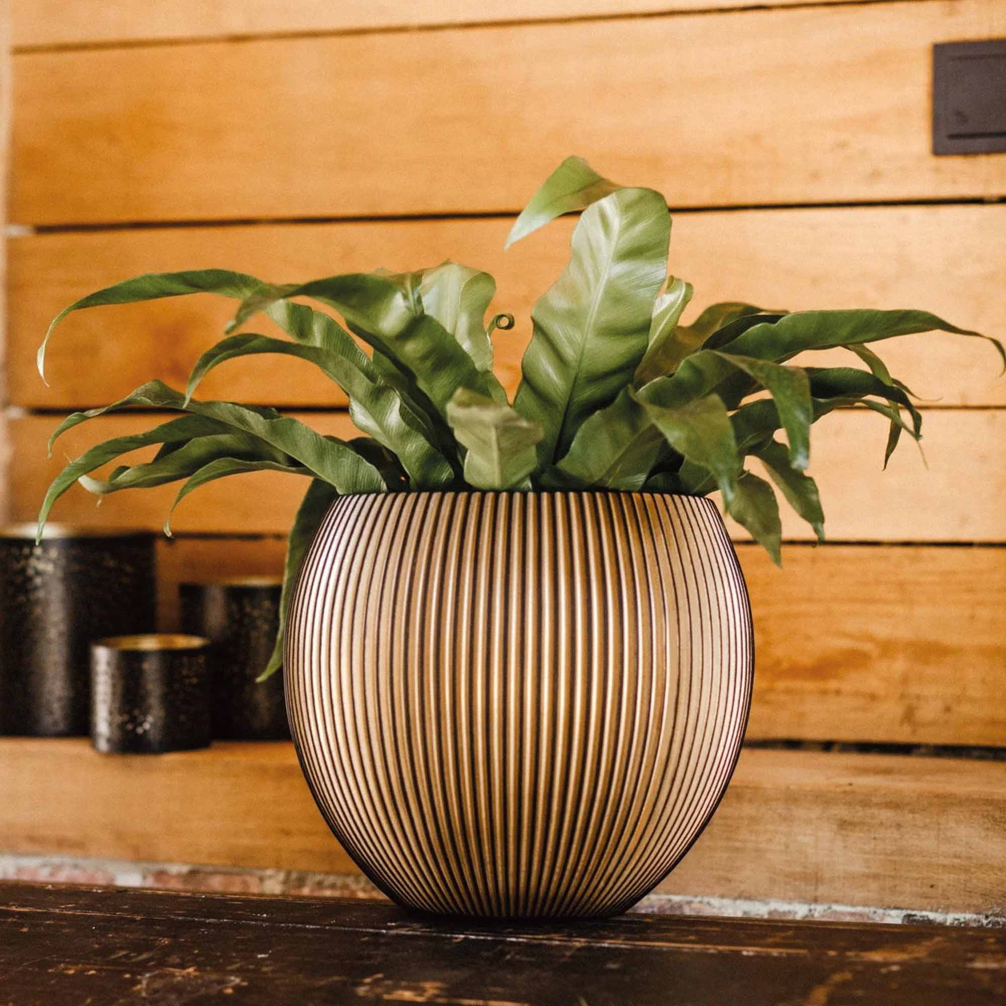 a3e34f75daea3726e8cfdbe2afbb9ae5