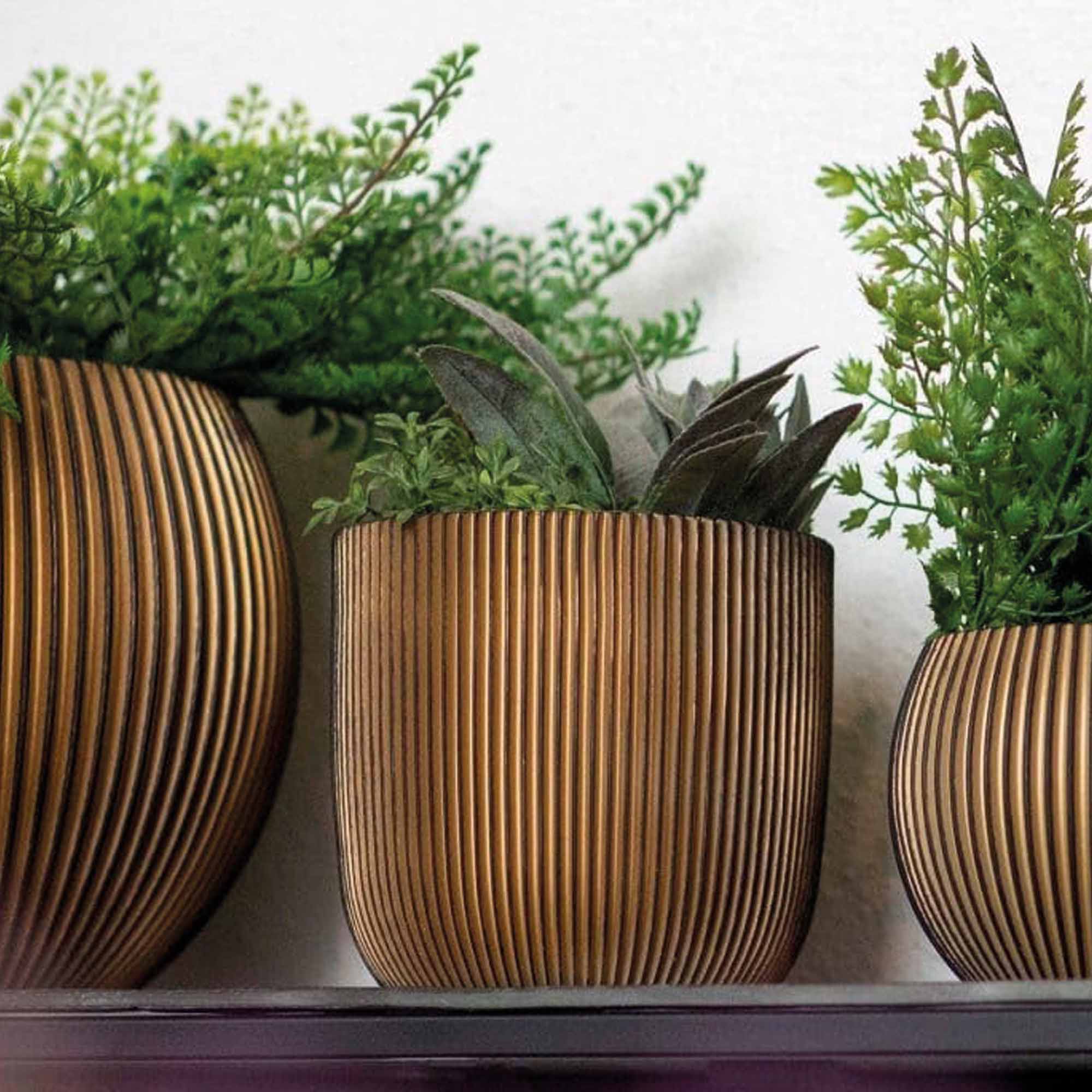 11e2b6491ad95e79a4f12900e1780d81