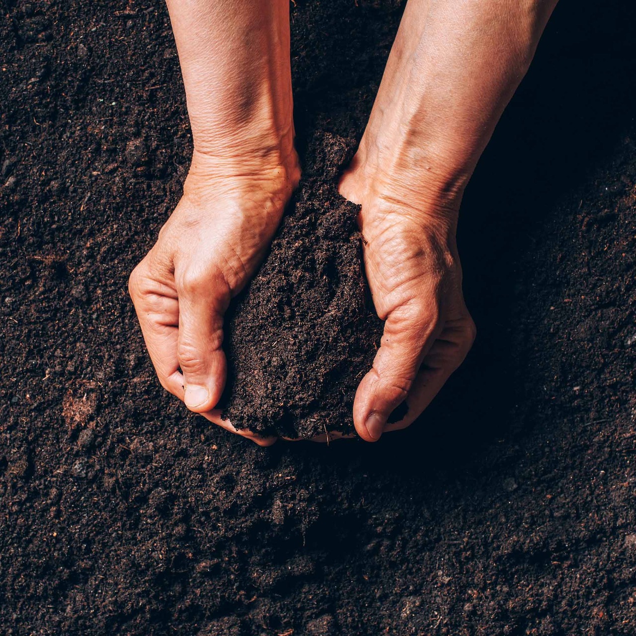 70f92211a0729b35d3b86423e18b5a03