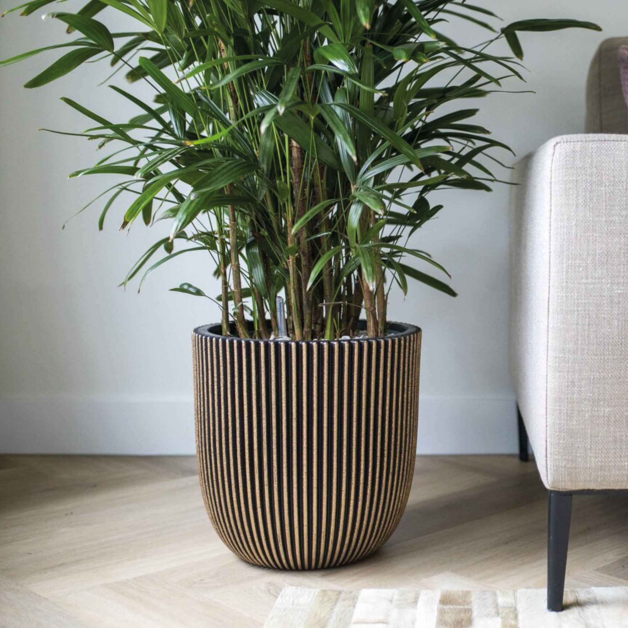 d8d5669c5ab4b5d4c63b4e769d38895c