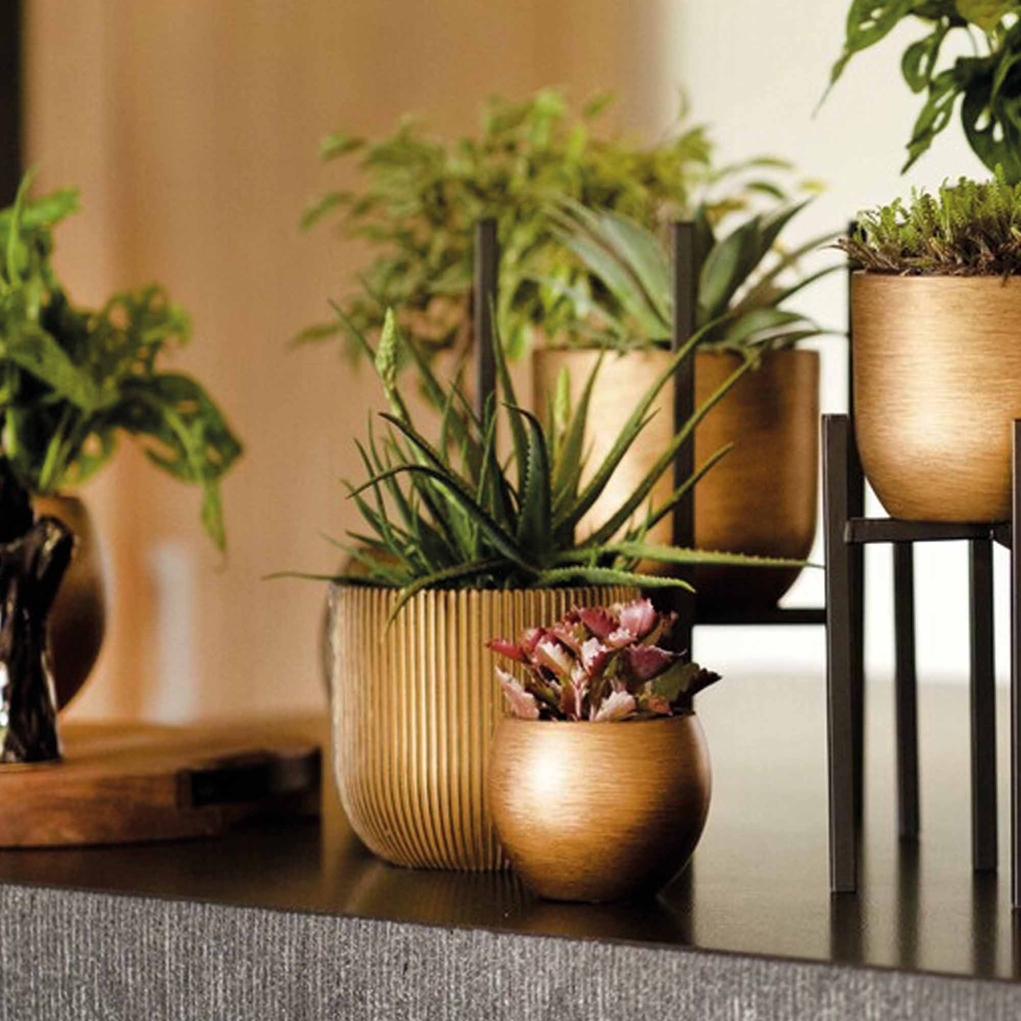 90248aff5982c0b23f7f0ebeae31f622