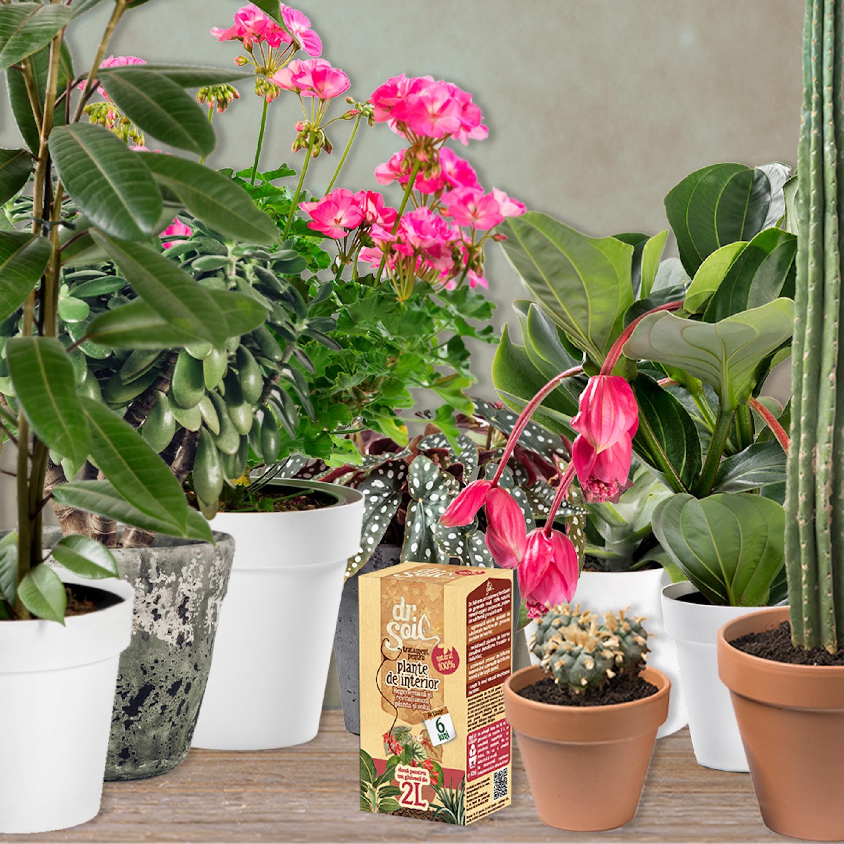 304079a1668476d87cd2179cd858b5ce