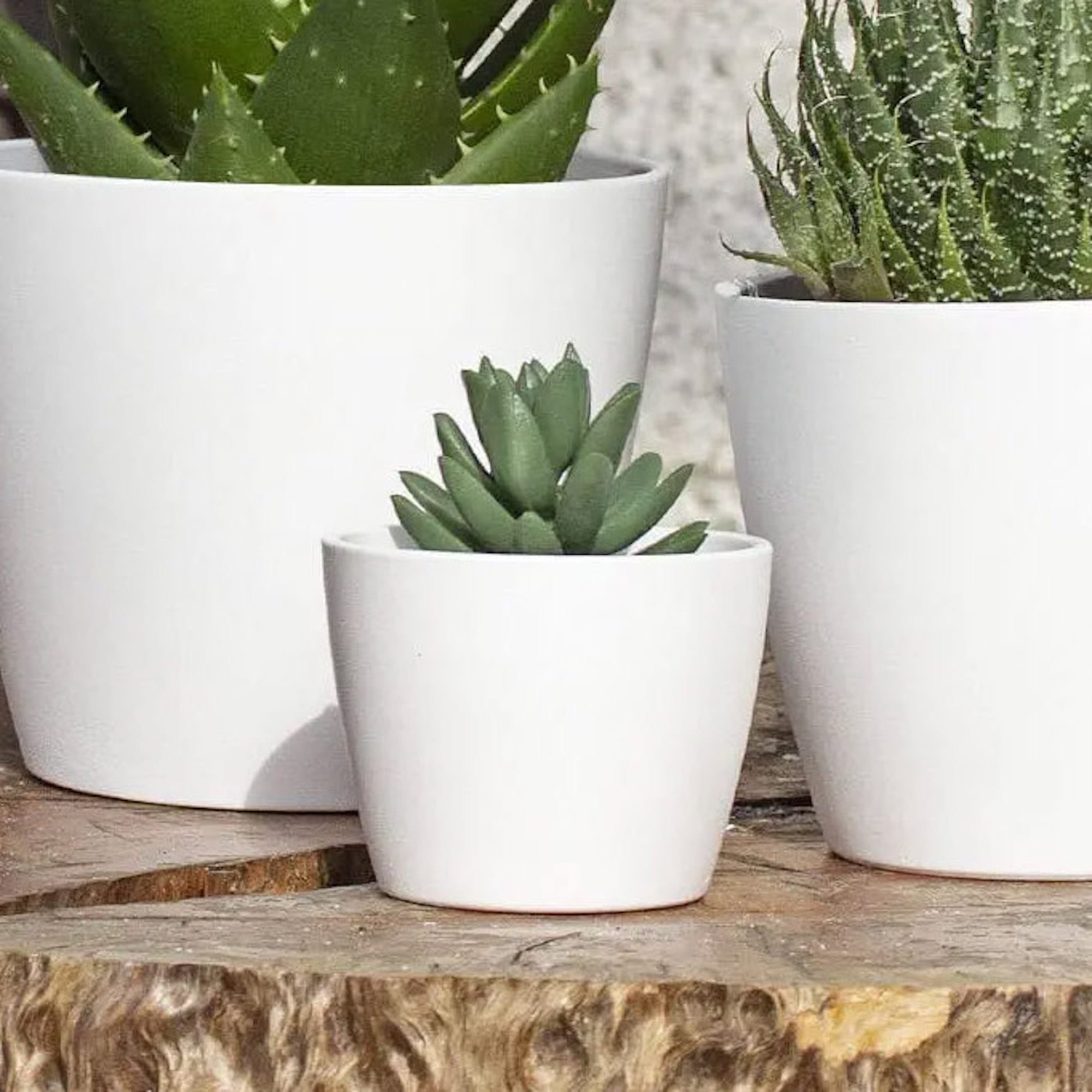 c83c3942d6b52f40628a6869c5b67ff6