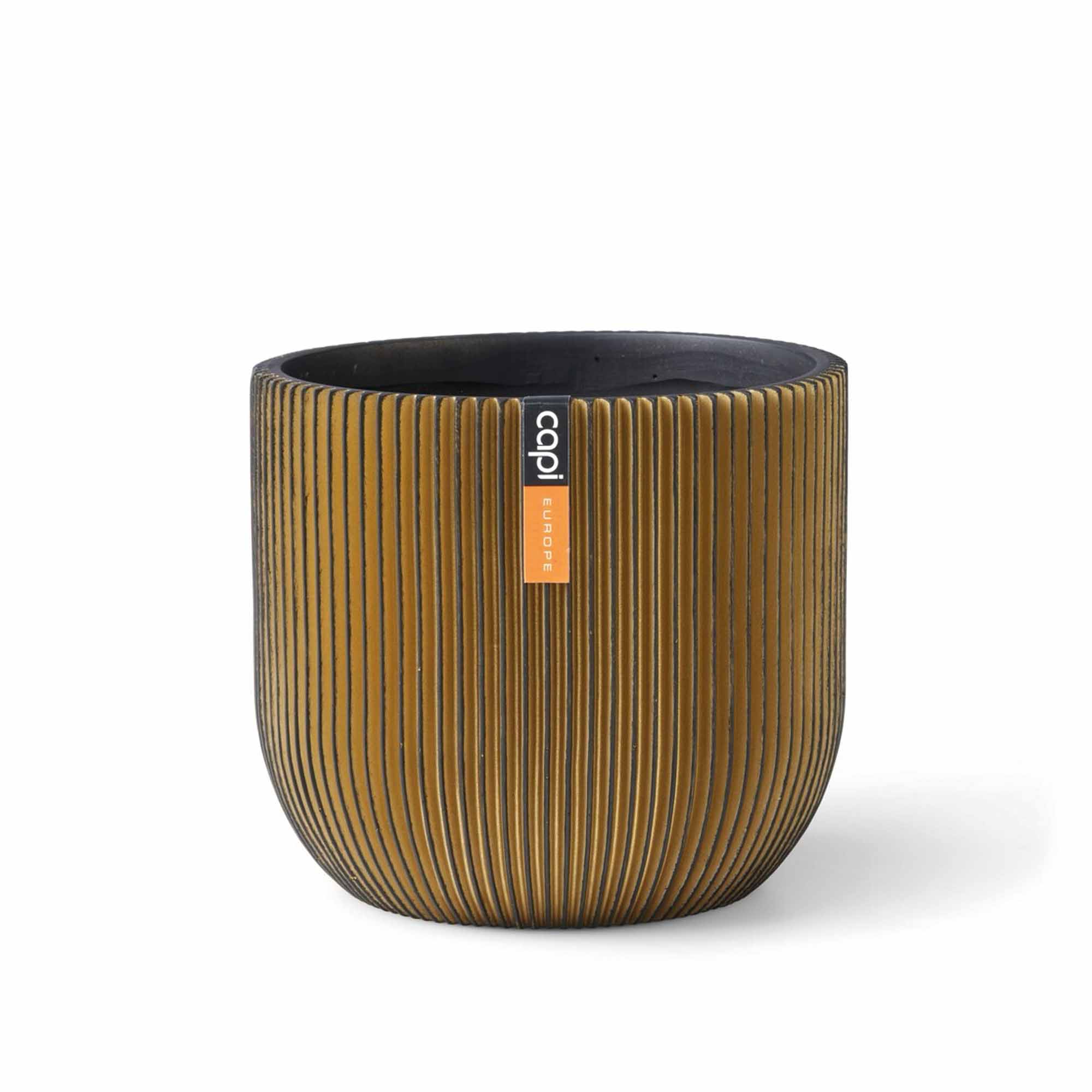 9e80cdc0fd1b65bb799dc2620fc1a46c