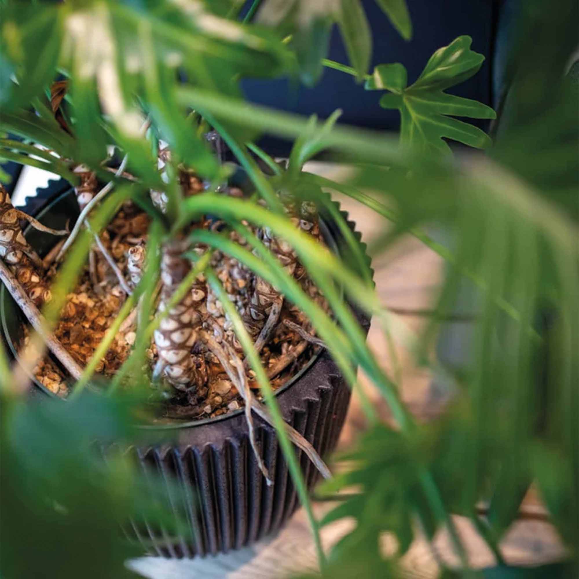 a671fb1ecd707f4f42b944aa2002df8a