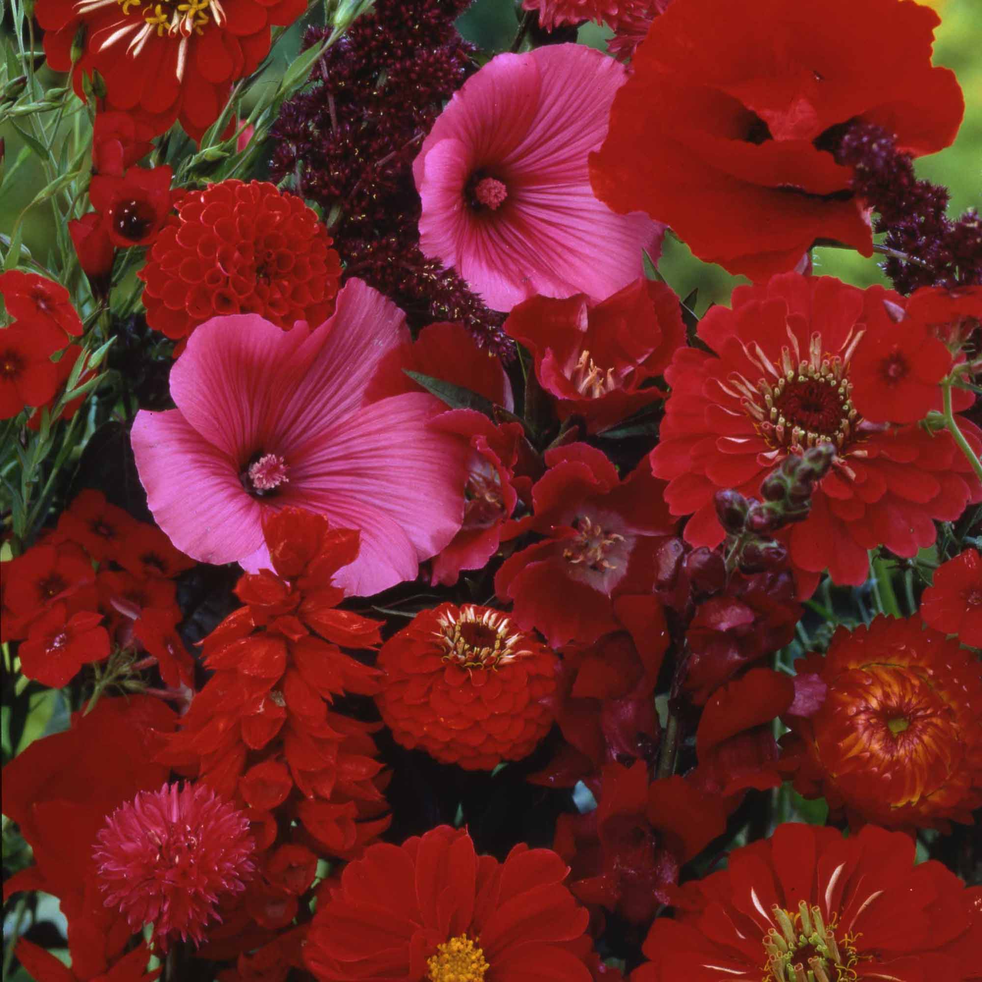 8c3ef338af0a9a52ef8f4e342362bd3a