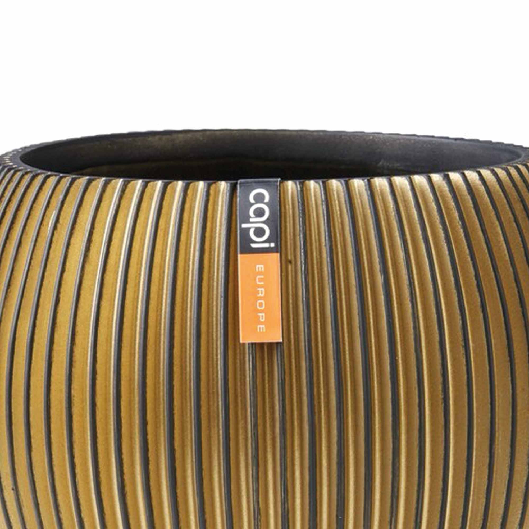 a92e1aac5d0f10c110af5fac1e274fff