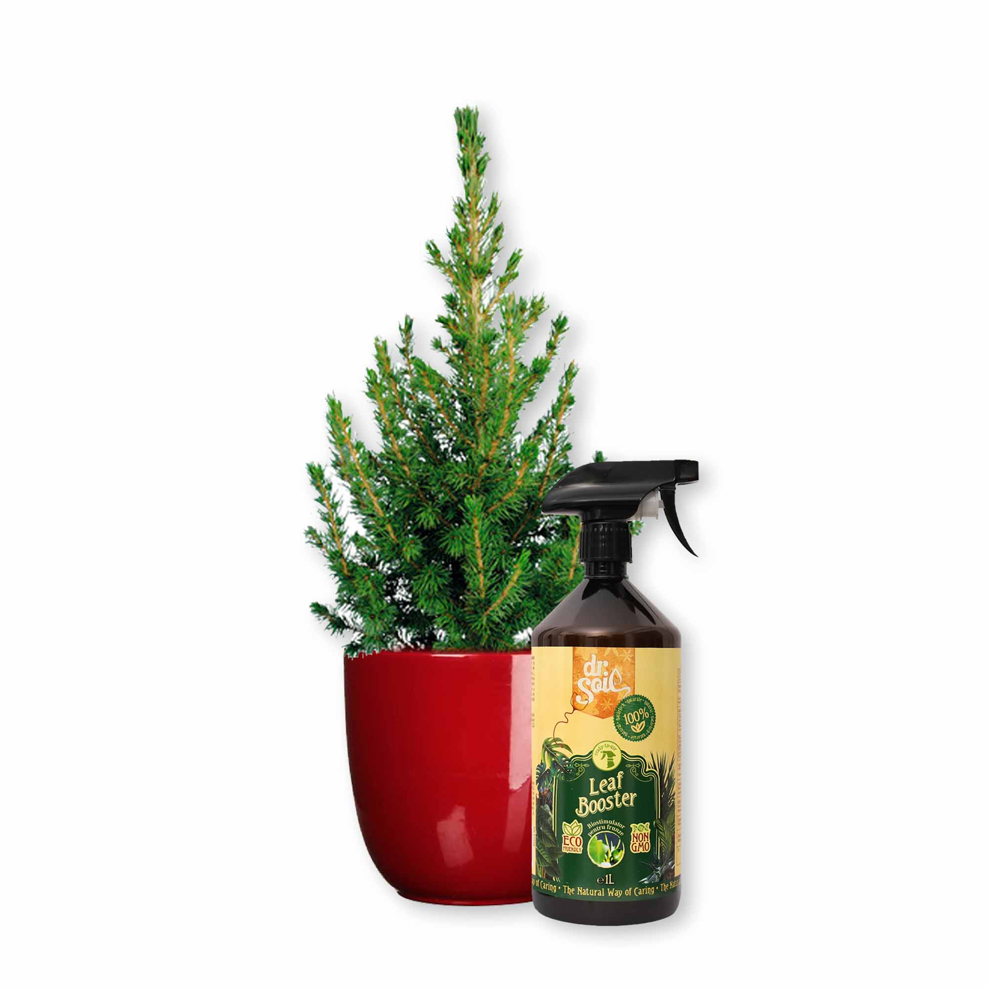 35312c0d8d688b90698610e3fd1a3c51