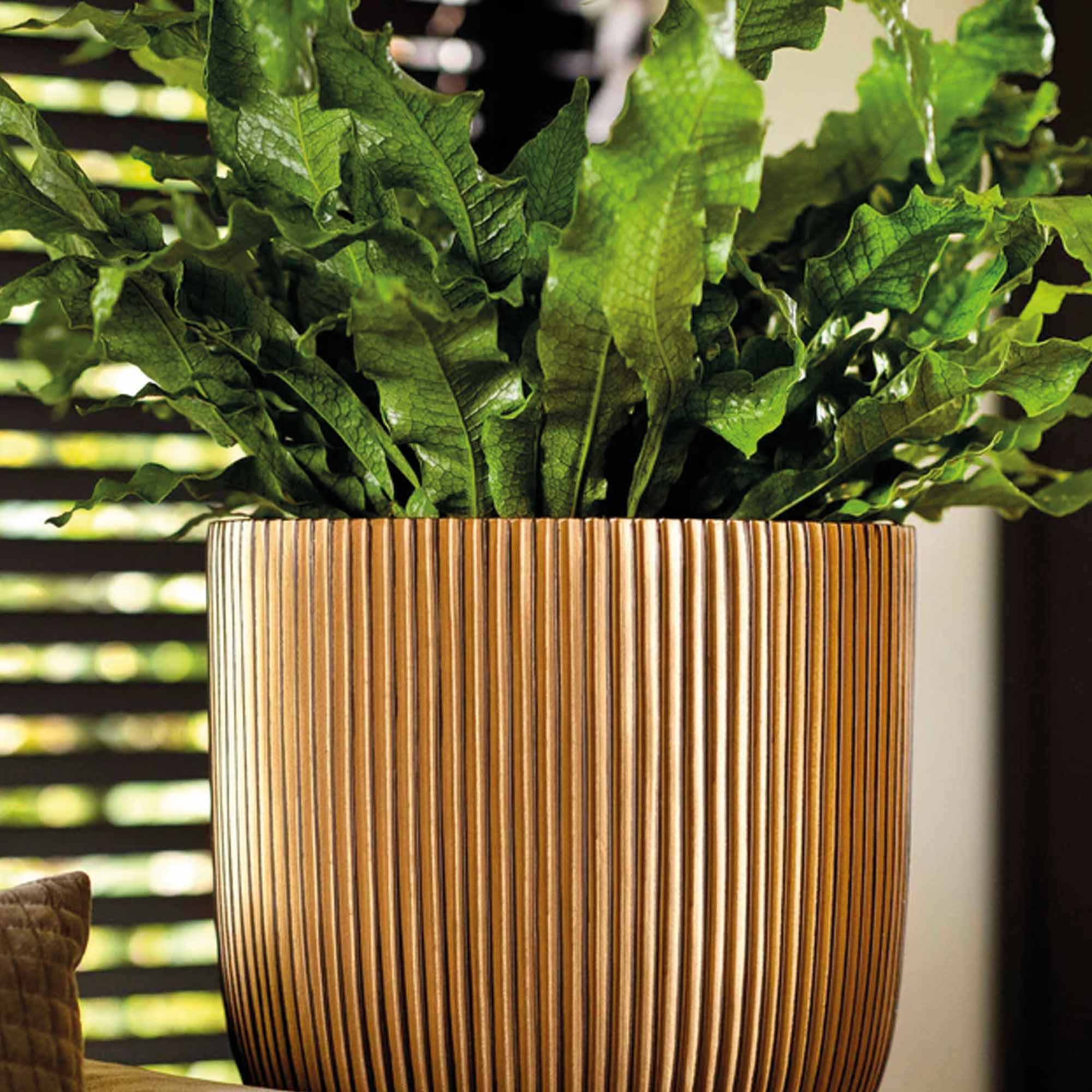 1a41e3778ef6ccaed69714cd0c7d5826