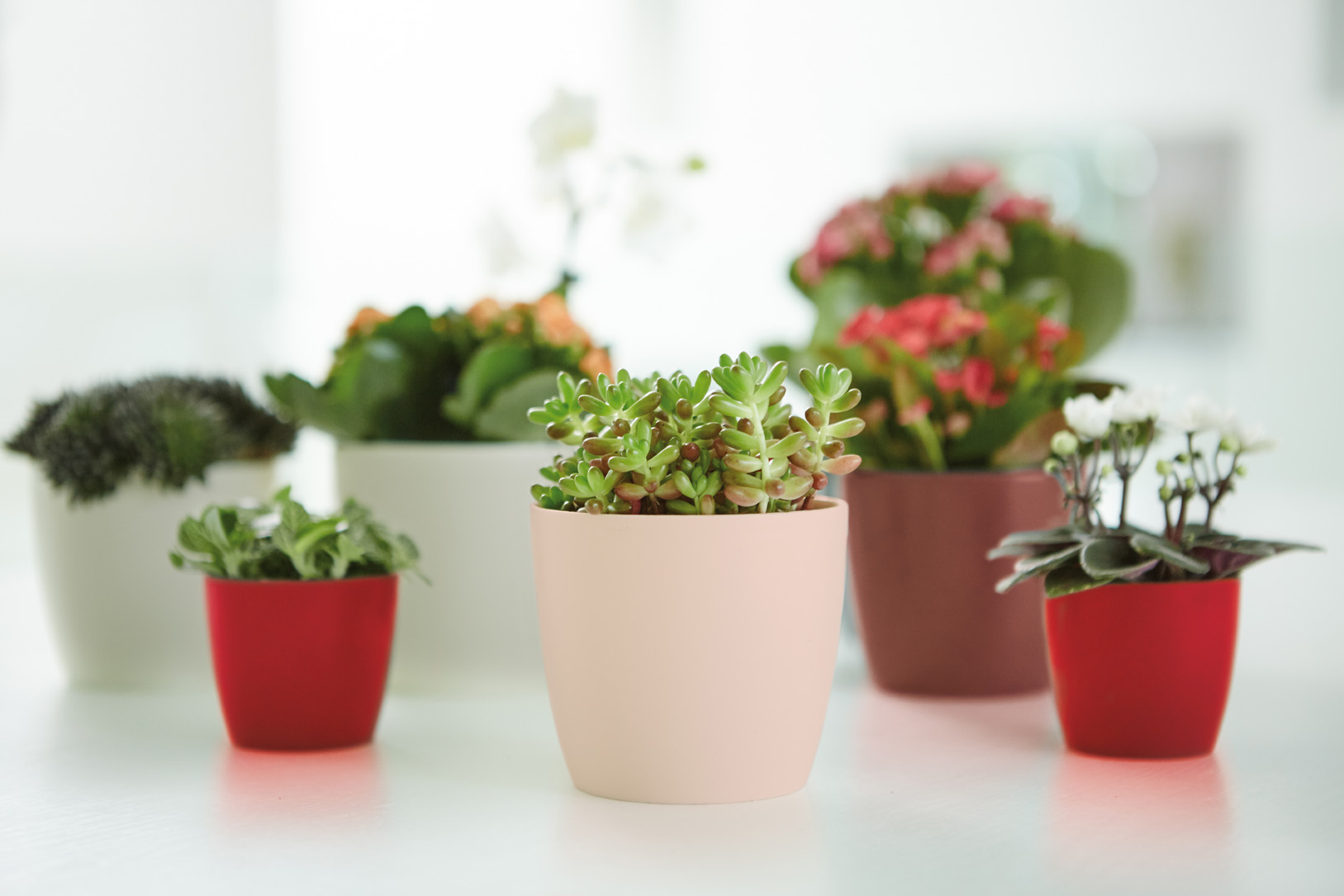 71140a92f2decd76c820a093b7ca41be