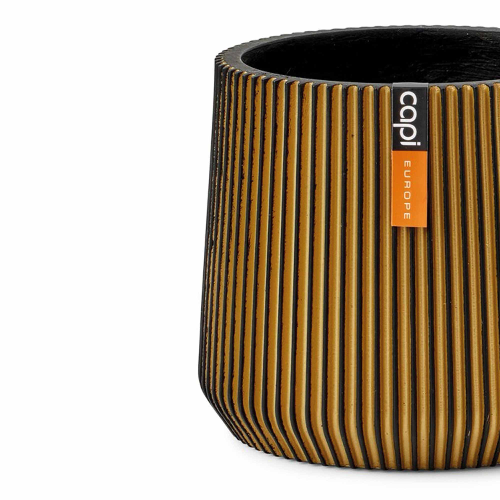 f51e6dbba047f88de6a051dcdc9585b1