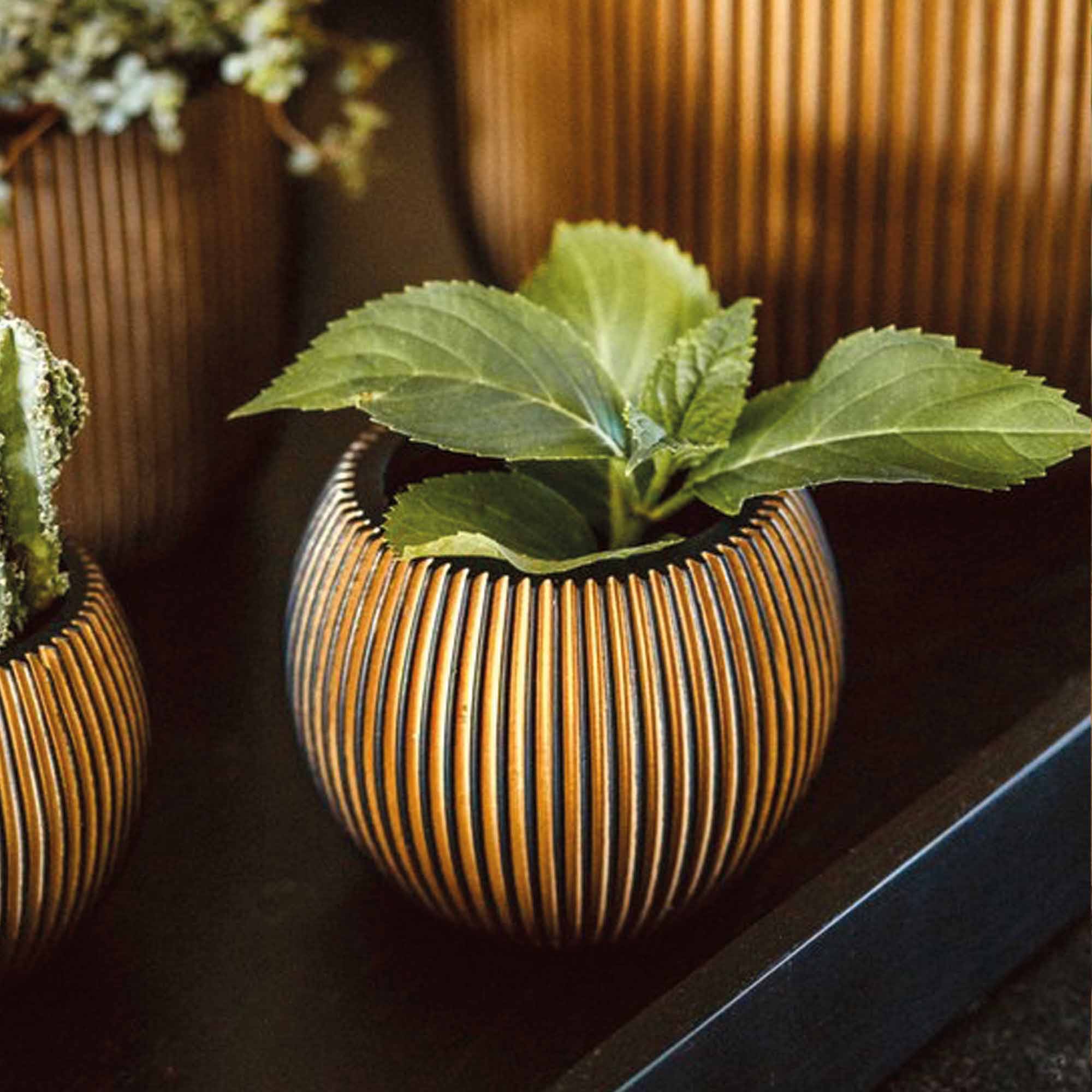 1e6aac5451542a5a21b07fe0440155ba