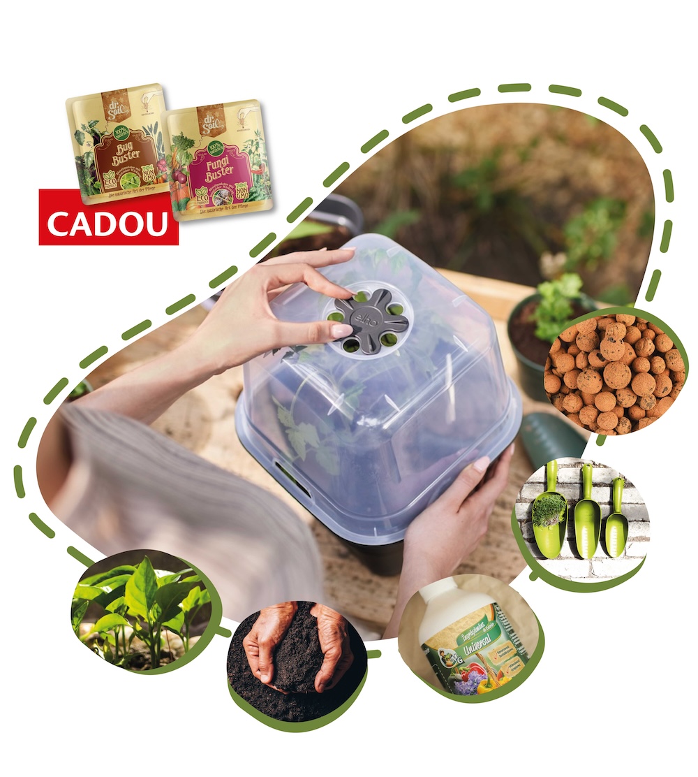 c99fc79664ad743f26fe8e7e20c5a0b0