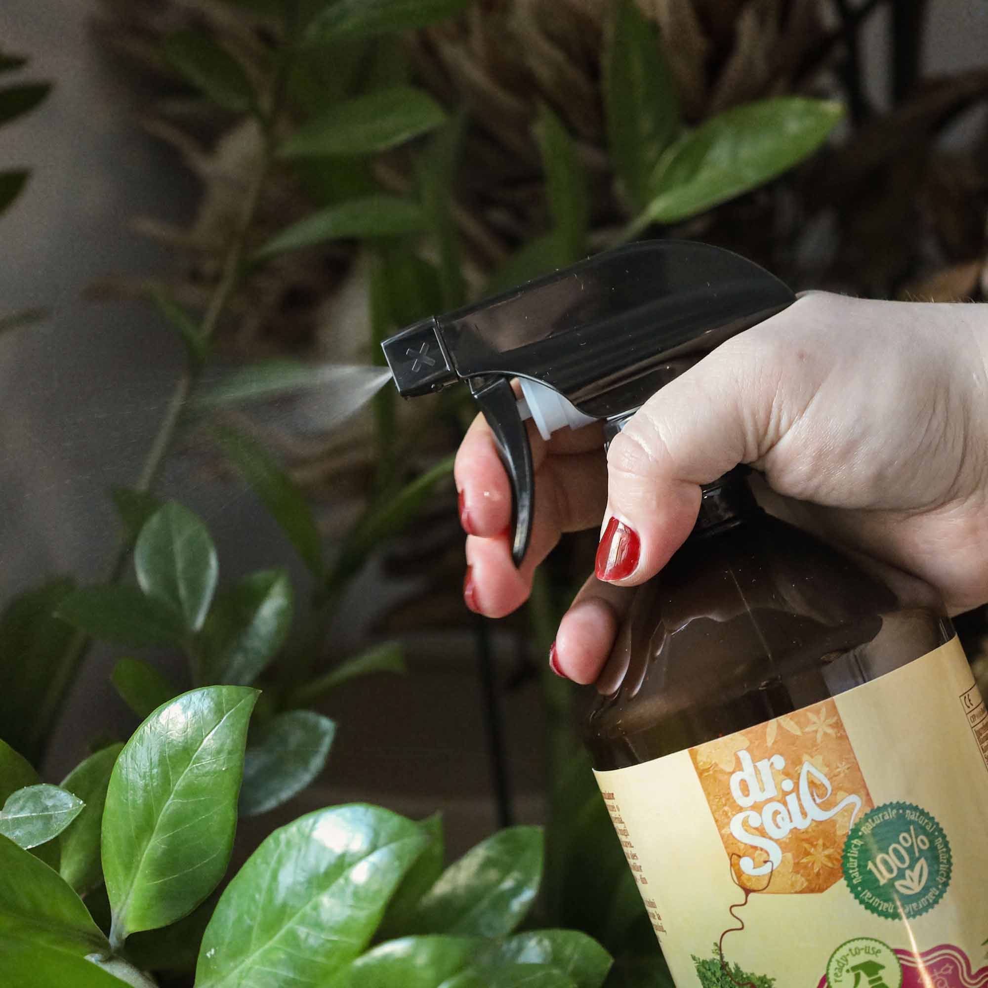 68fba0e629298ed8802907547ca1b0f9