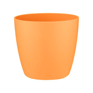 426fe82a0d8edccea93039e04e55a861