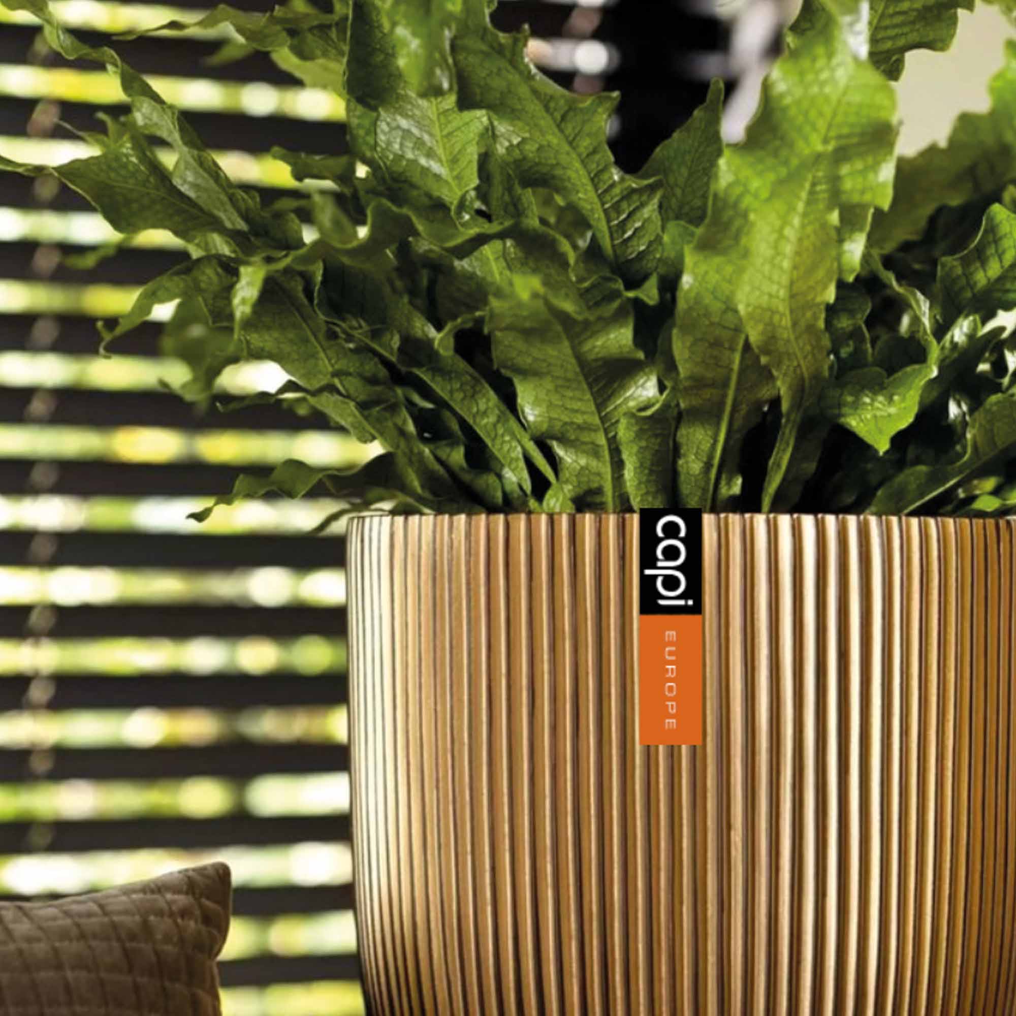 3296da1cc940e2ec27007c6c5e309b55