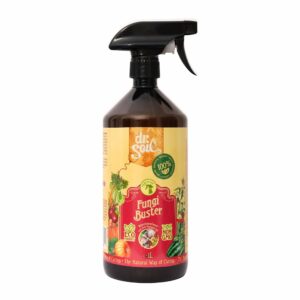 88e784d4453d0c6ece81001f6fa328e8