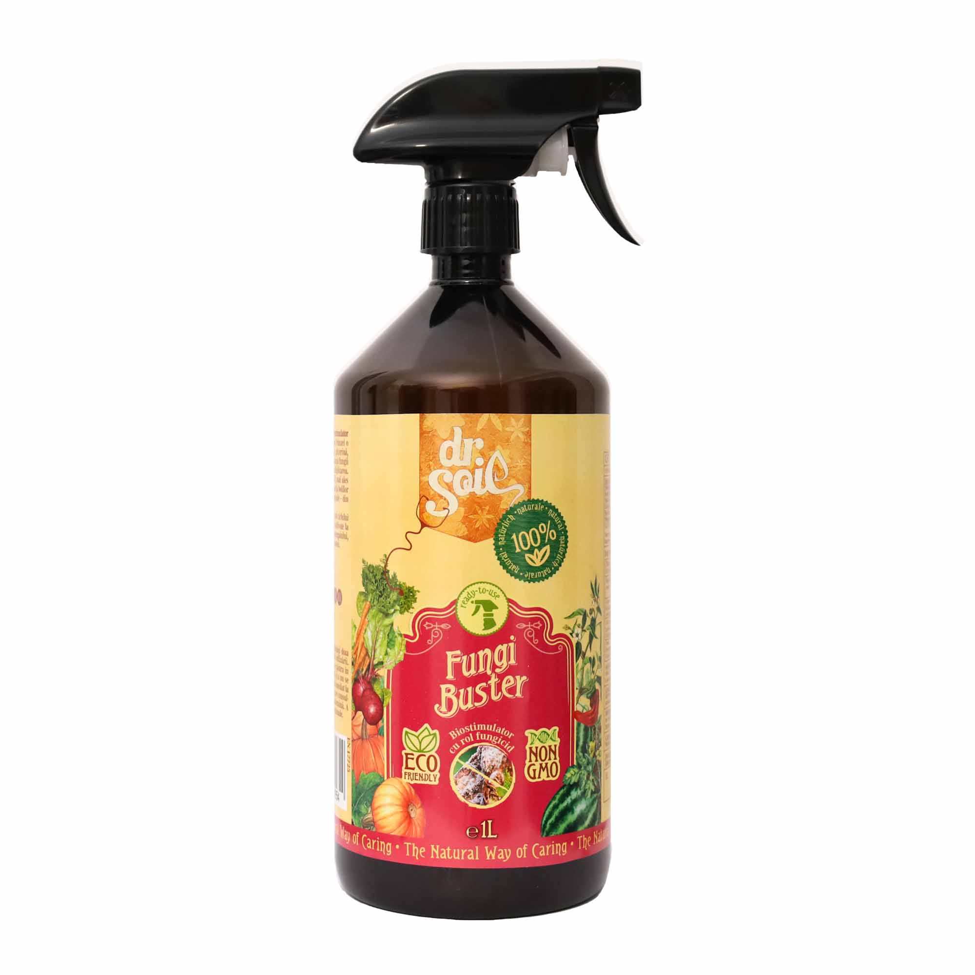 88e784d4453d0c6ece81001f6fa328e8