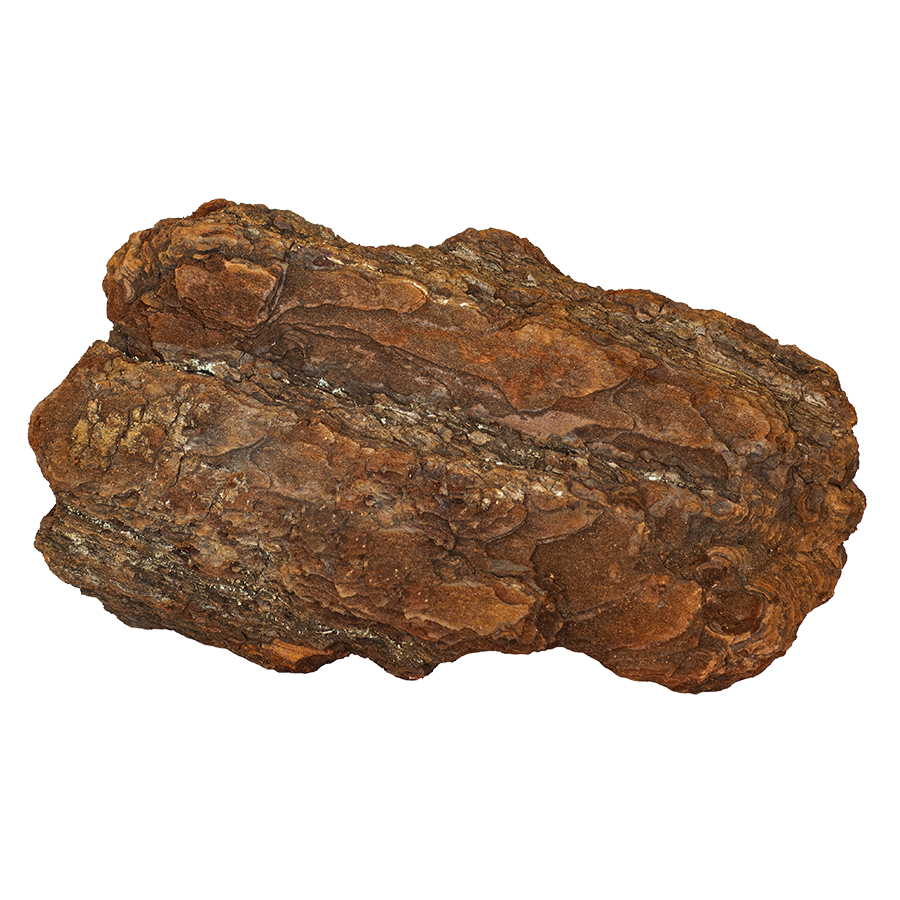 900511b2fd26b78a3d06ebaa56183b89