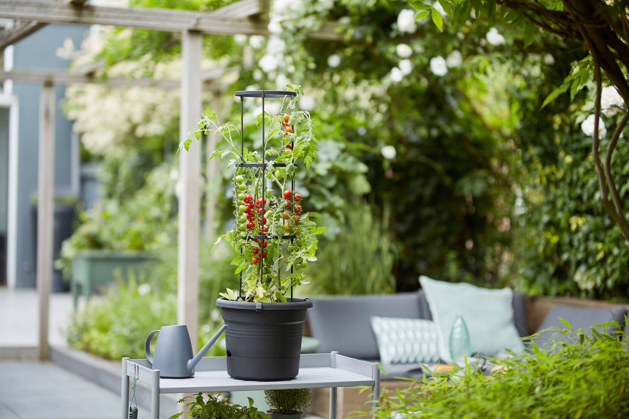 0aa3e5192d3cc9d41f1a0ce679b70a1d